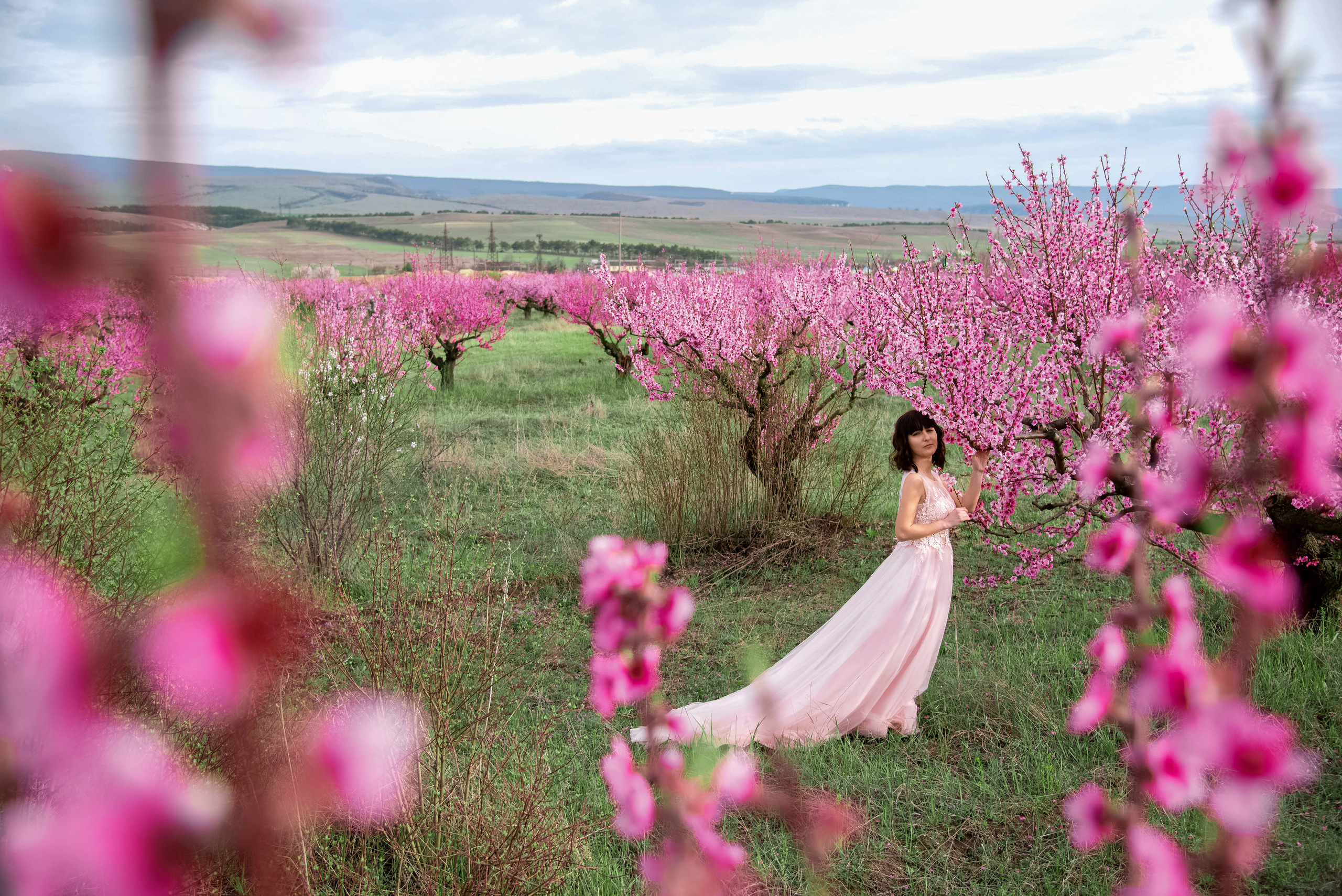 Фотосессия среди персиковых садов. Свадебный и семейный фотограф и видеограф, Крым, Москва, Санкт -Петербург