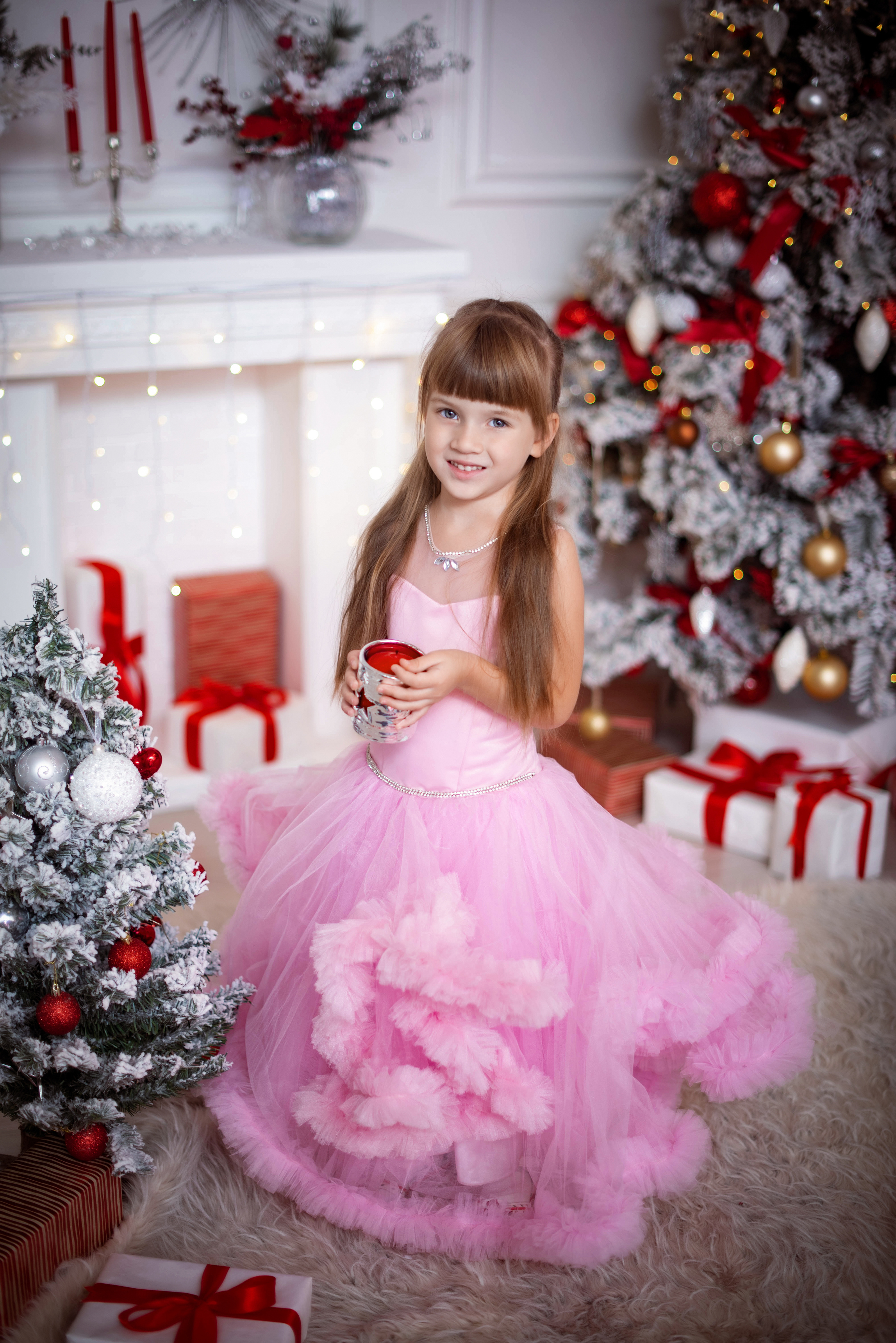 Новогоднее настроение. Свадебный и семейный фотограф и видеограф, Крым, Москва, Санкт -Петербург