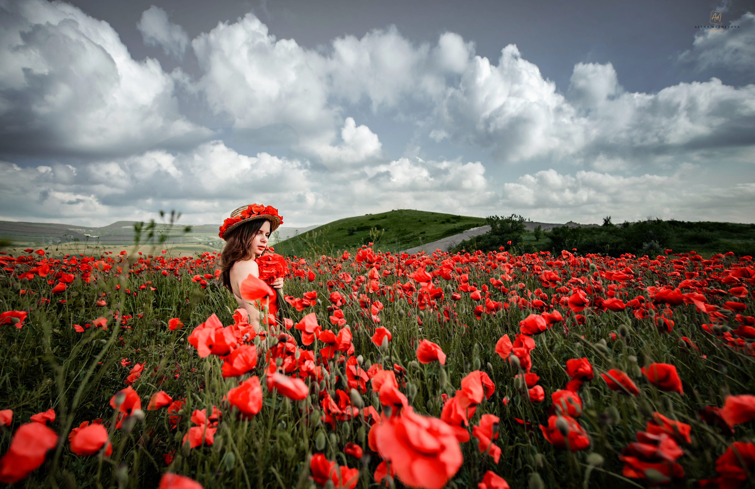 Фотосессия в маках. Свадебный и семейный фотограф и видеограф, Крым, Москва, Санкт -Петербург
