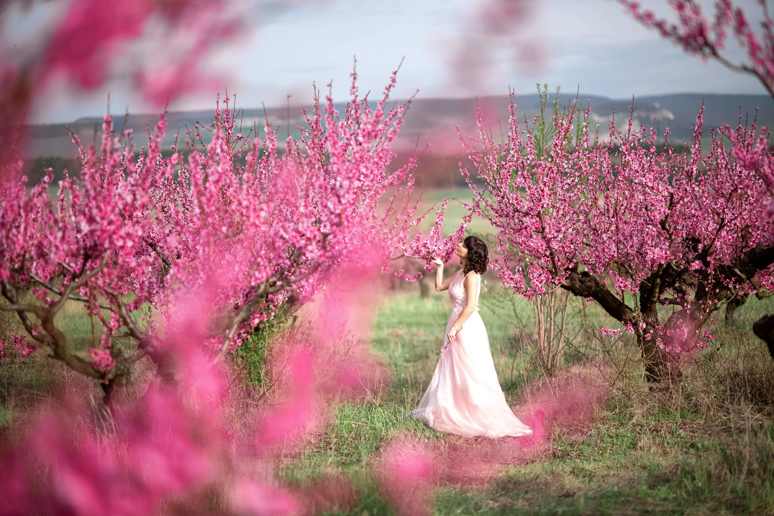 Фотосессия среди персиковых садов. Свадебный и семейный фотограф и видеограф, Крым, Москва, Санкт -Петербург