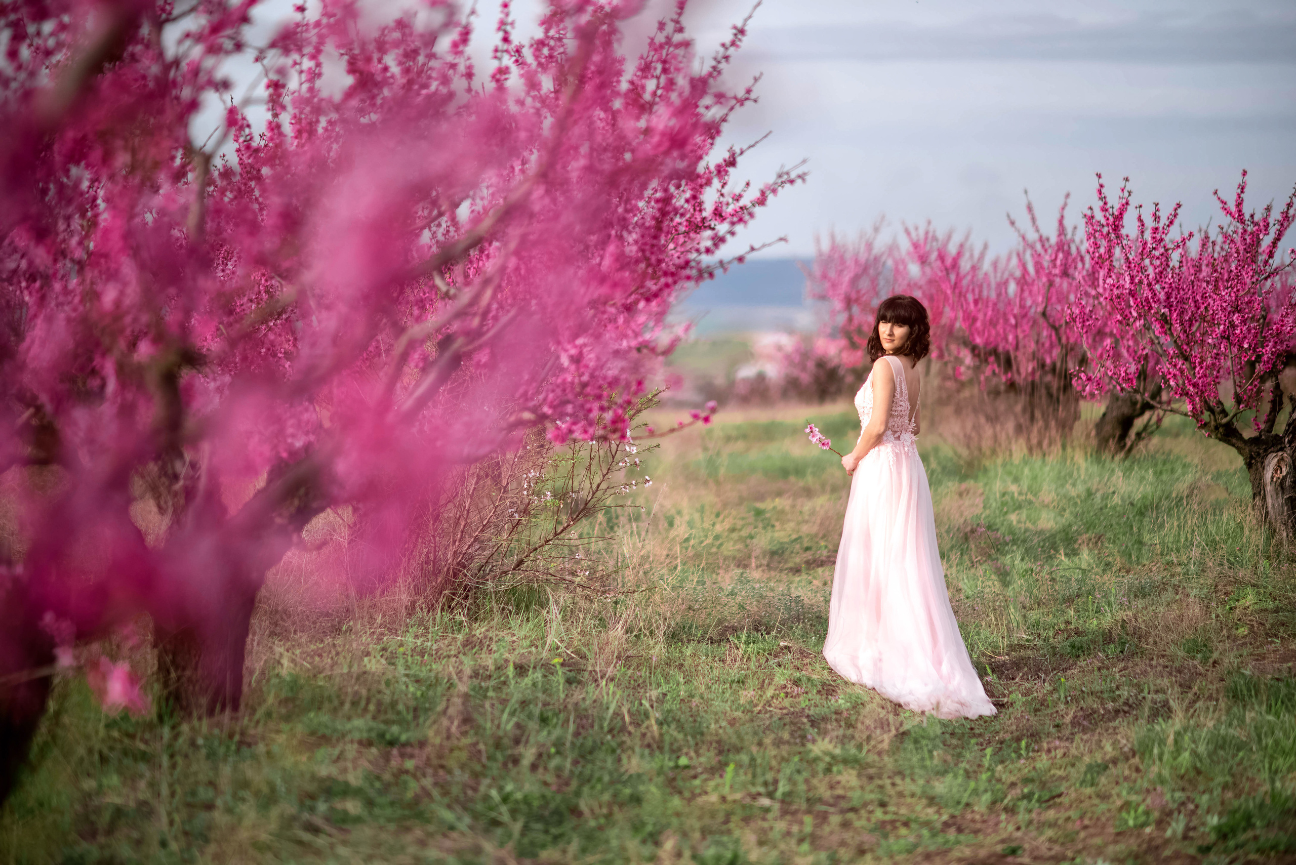 Фотосессия среди персиковых садов. Свадебный и семейный фотограф и видеограф, Крым, Москва, Санкт -Петербург