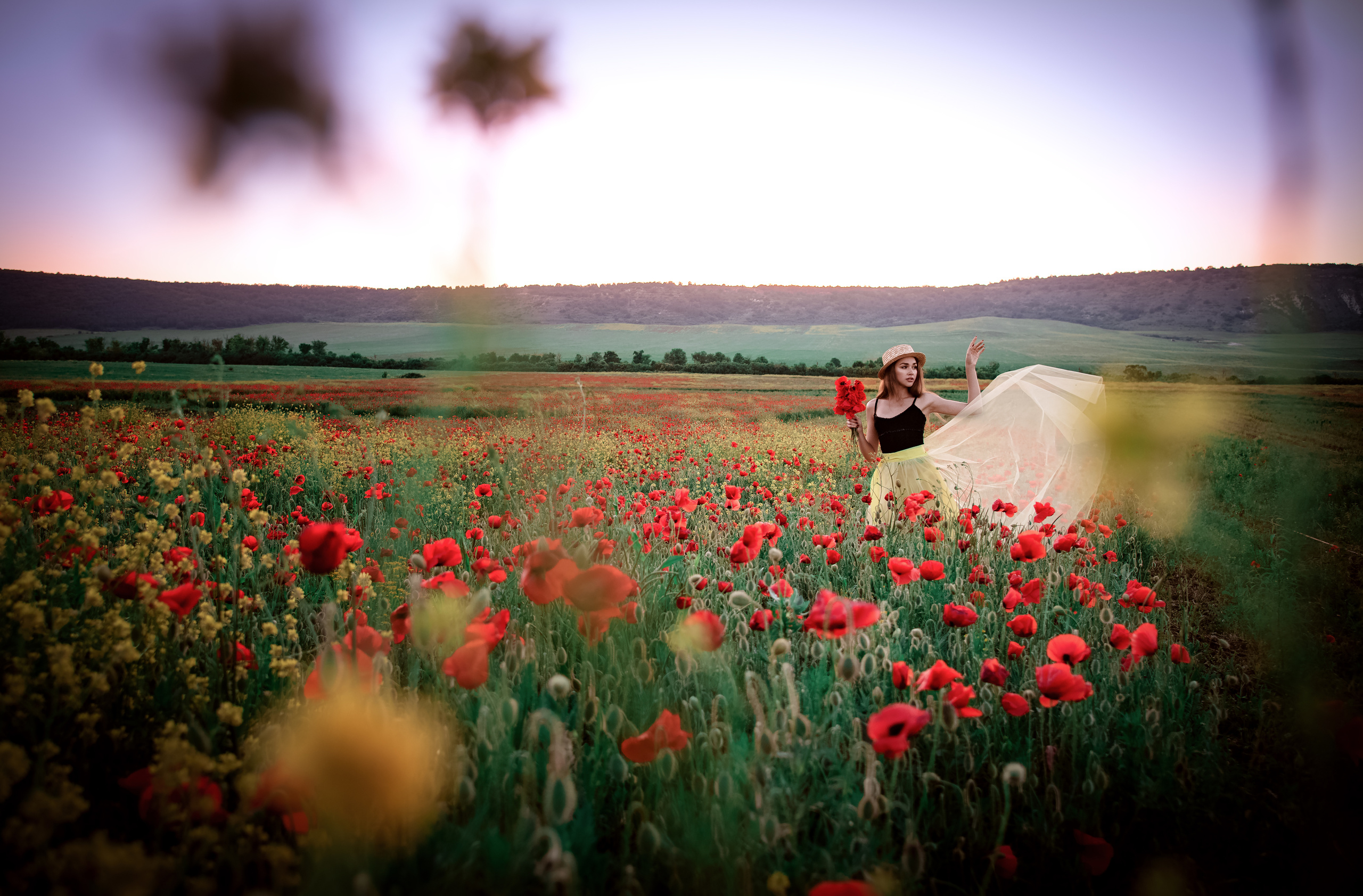 Фотосессия в маках. Свадебный и семейный фотограф и видеограф, Крым, Москва, Санкт -Петербург