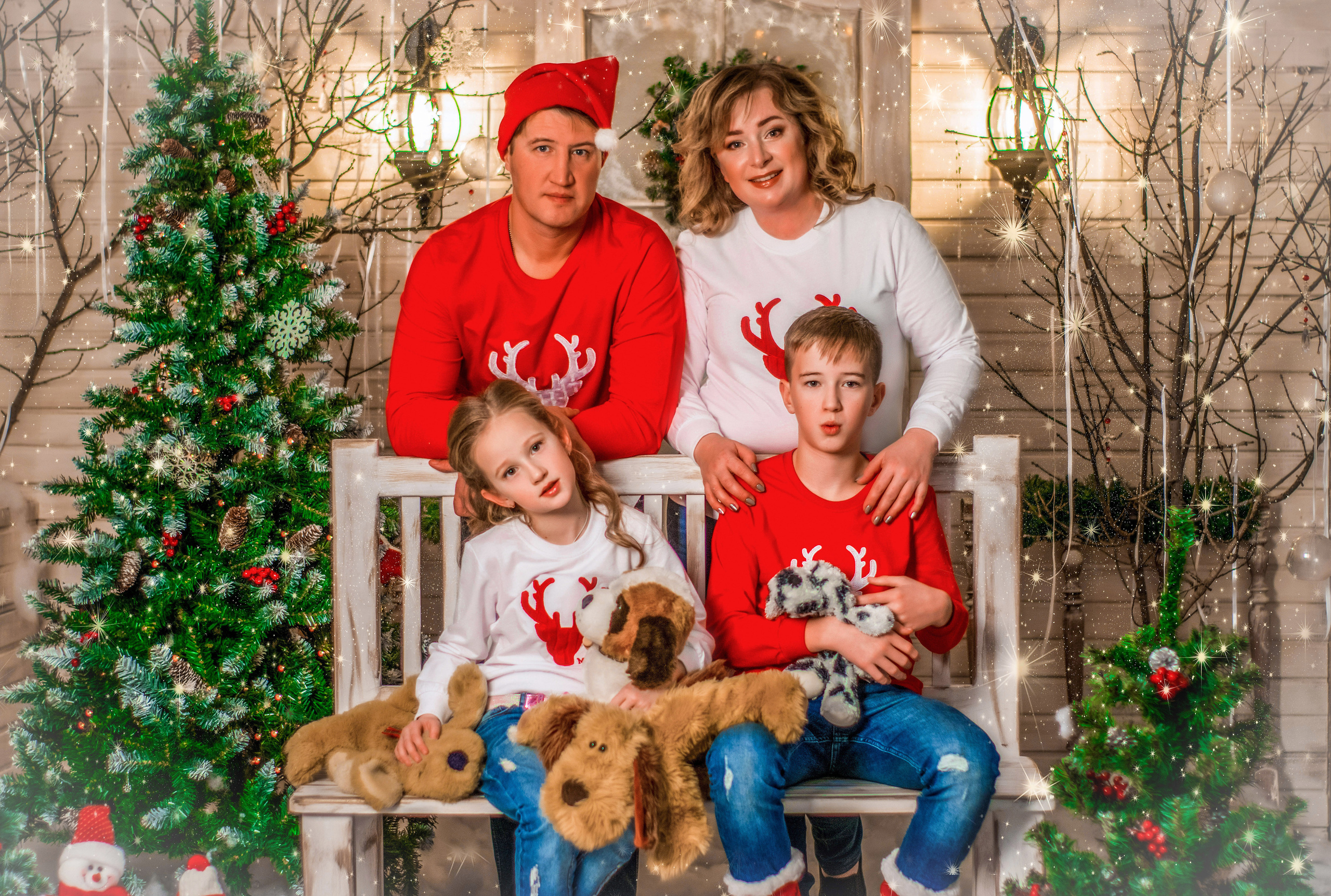 Новогоднее настроение. Свадебный и семейный фотограф и видеограф, Крым, Москва, Санкт -Петербург