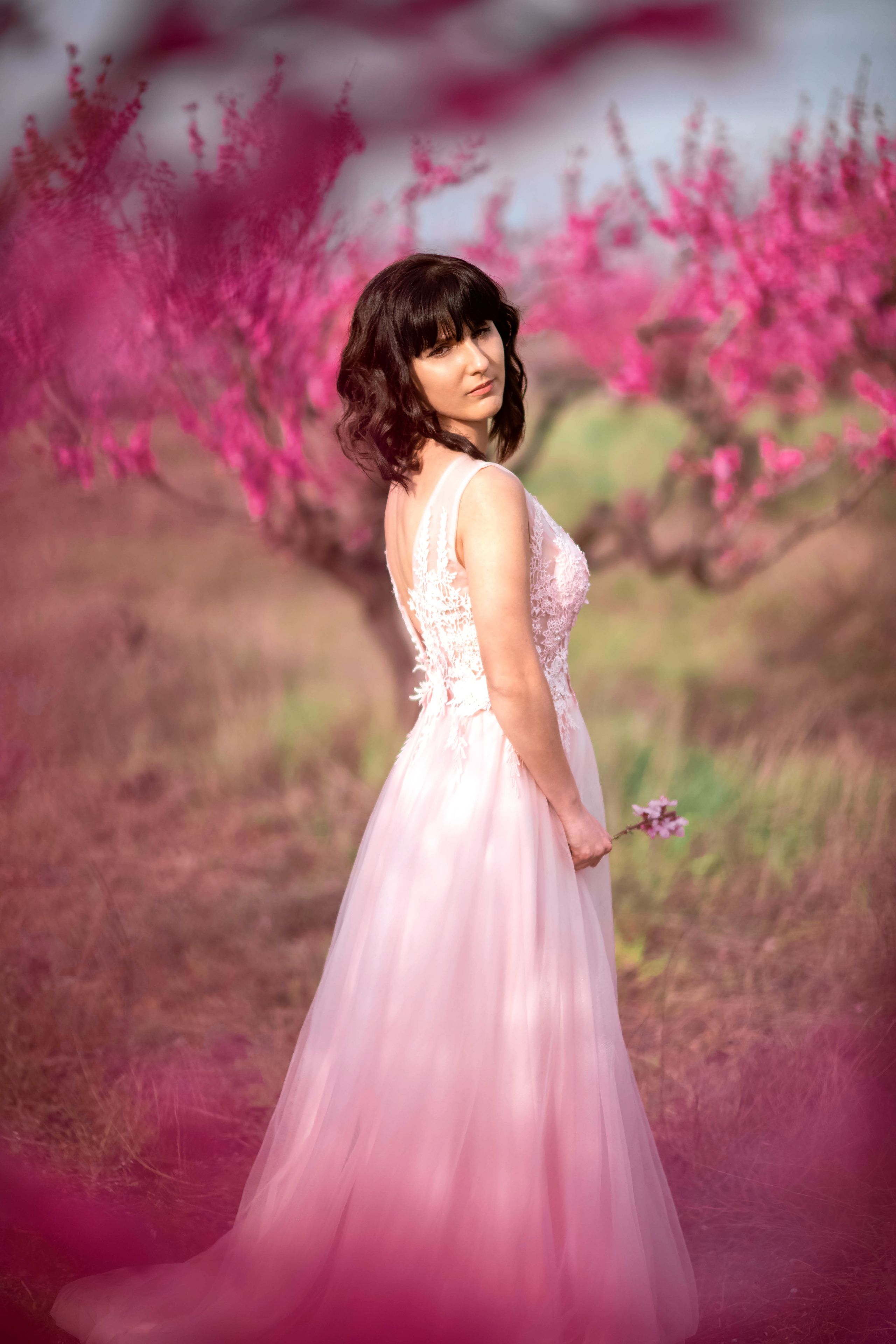 Фотосессия среди персиковых садов. Свадебный и семейный фотограф и видеограф, Крым, Москва, Санкт -Петербург