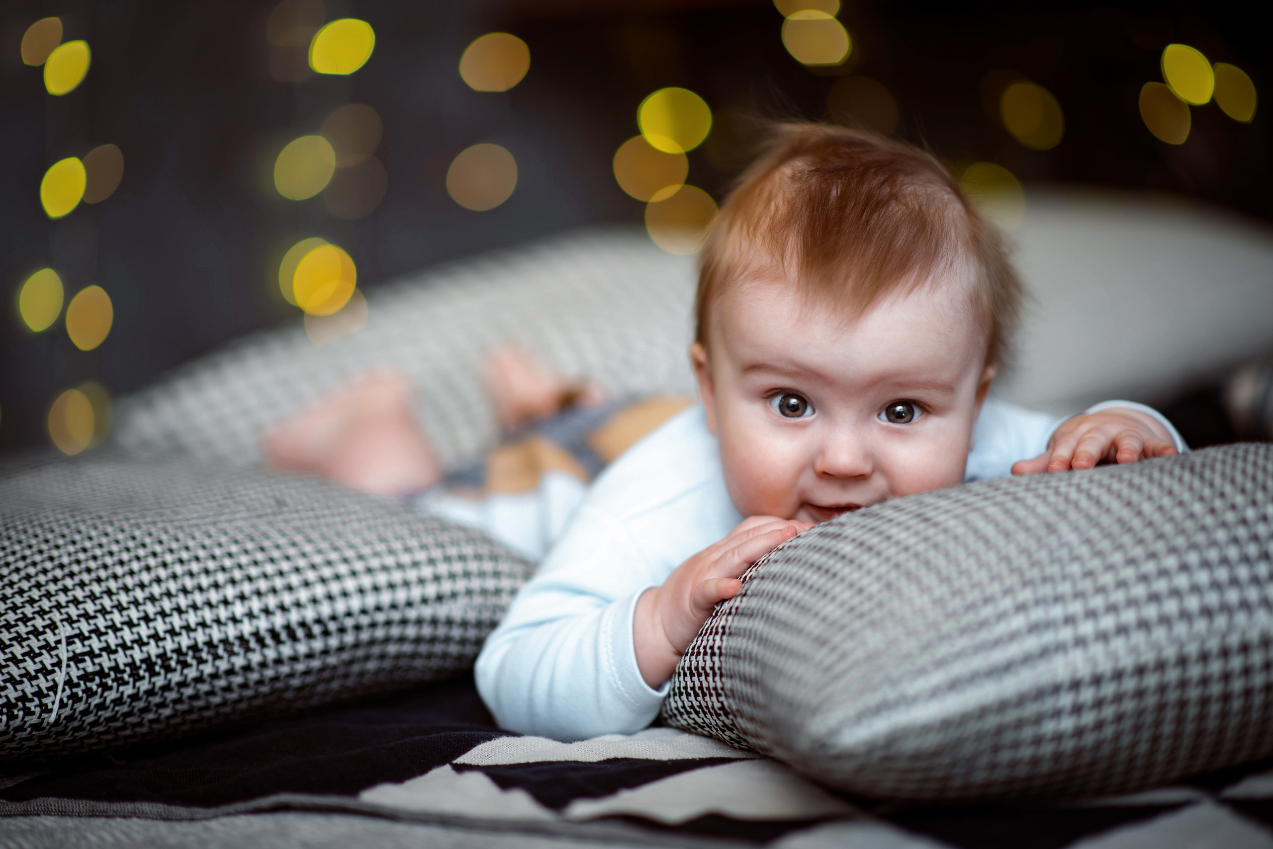 Новогоднее настроение. Свадебный и семейный фотограф и видеограф, Крым, Москва, Санкт -Петербург