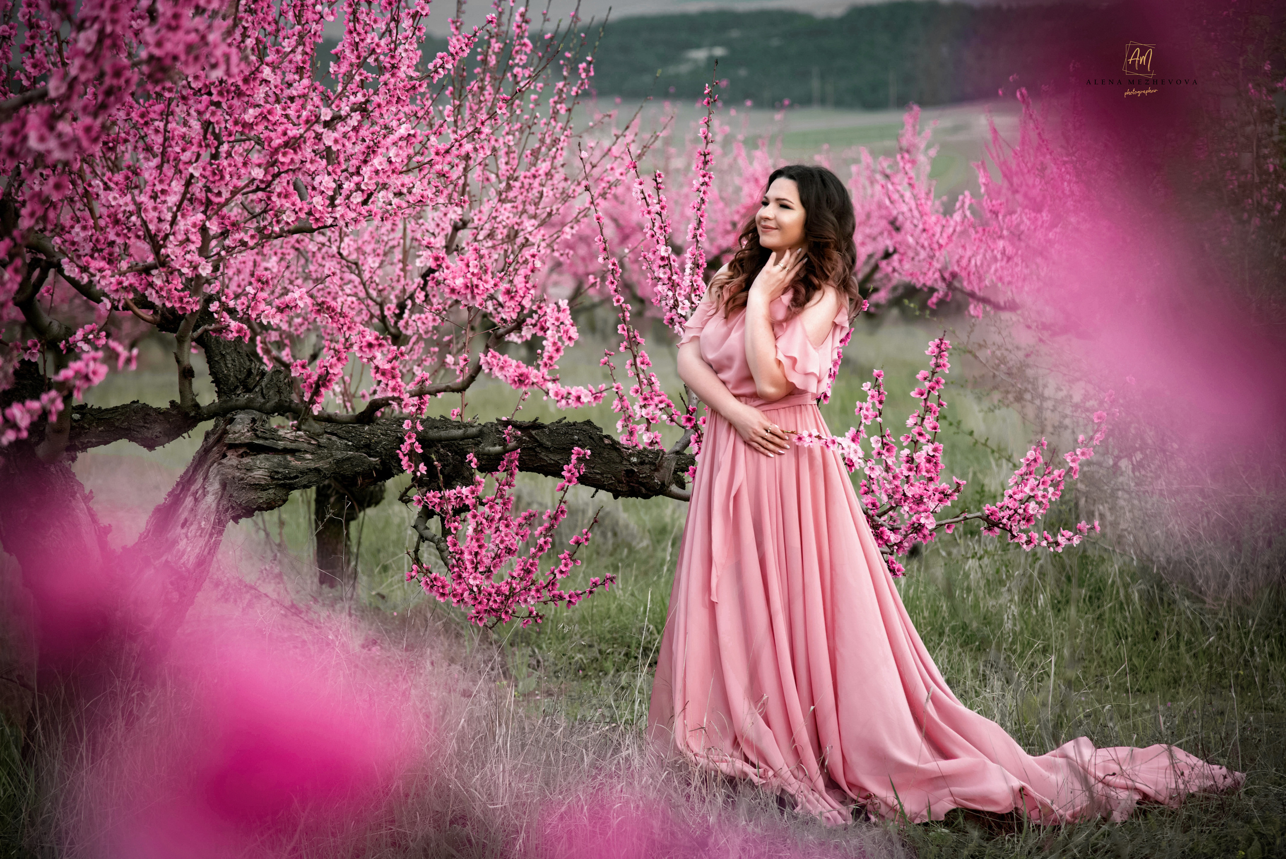 Фотосессия среди персиковых садов. Свадебный и семейный фотограф и видеограф, Крым, Москва, Санкт -Петербург