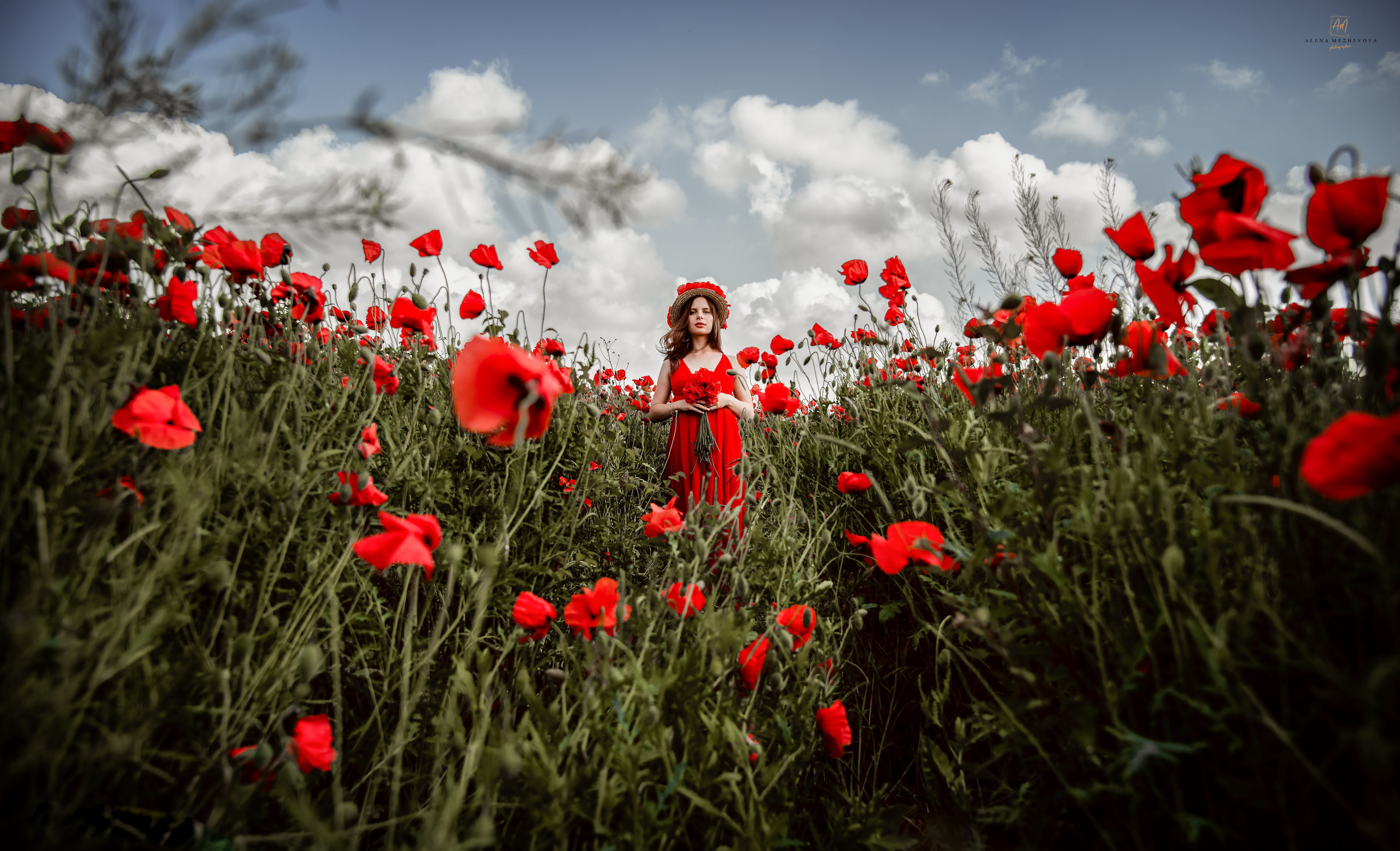 Фотосессия в маках. Свадебный и семейный фотограф и видеограф, Крым, Москва, Санкт -Петербург