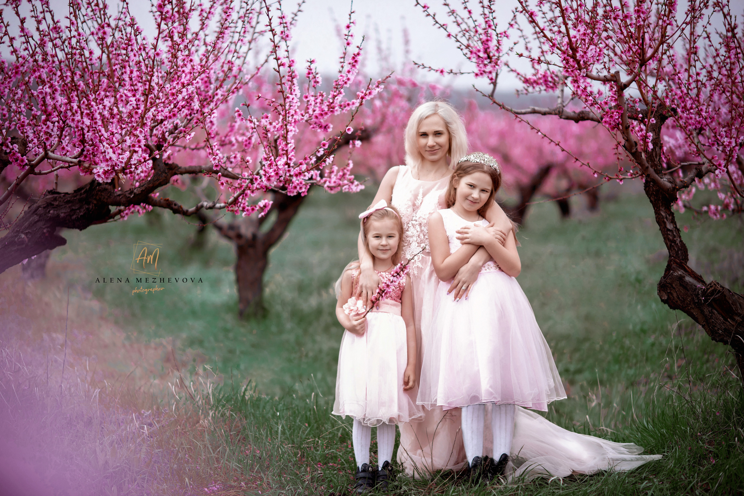 Фотосессия среди персиковых садов. Свадебный и семейный фотограф и видеограф, Крым, Москва, Санкт -Петербург