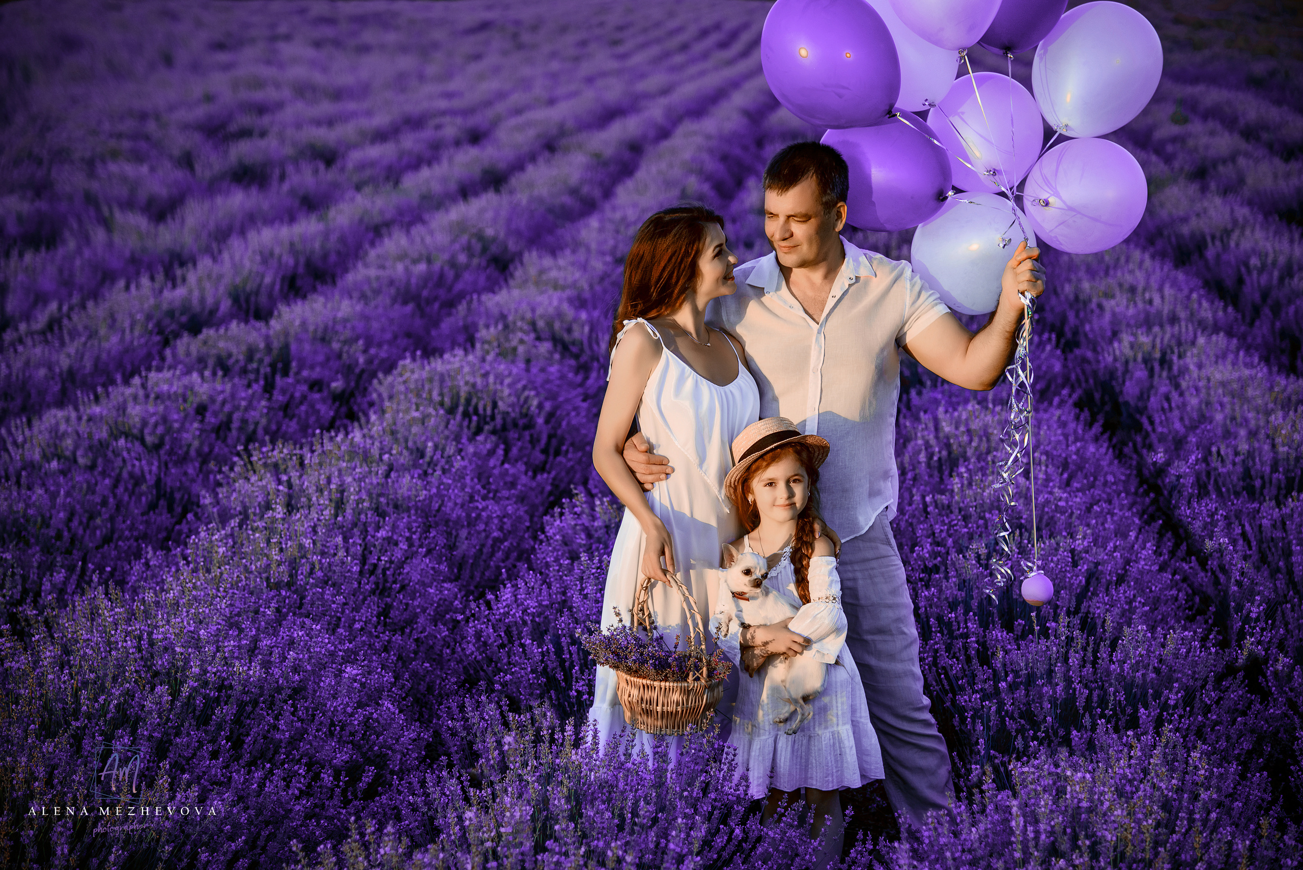 Фотосессия в лаванде. Свадебный и семейный фотограф и видеограф, Крым, Москва, Санкт -Петербург