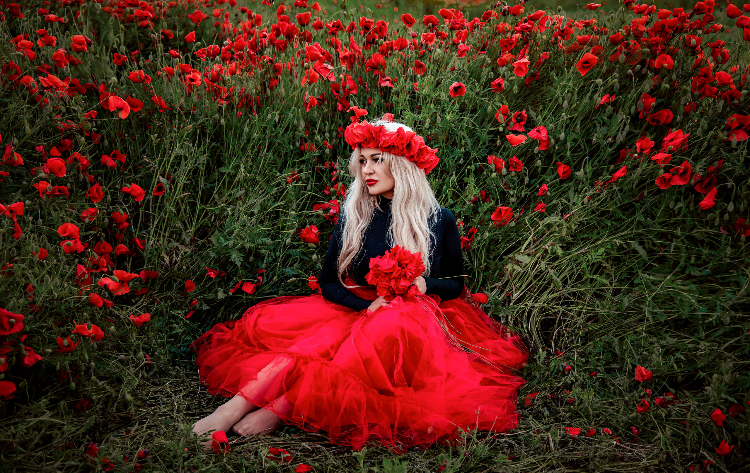 Фотосессия в маках. Свадебный и семейный фотограф и видеограф, Крым, Москва, Санкт -Петербург