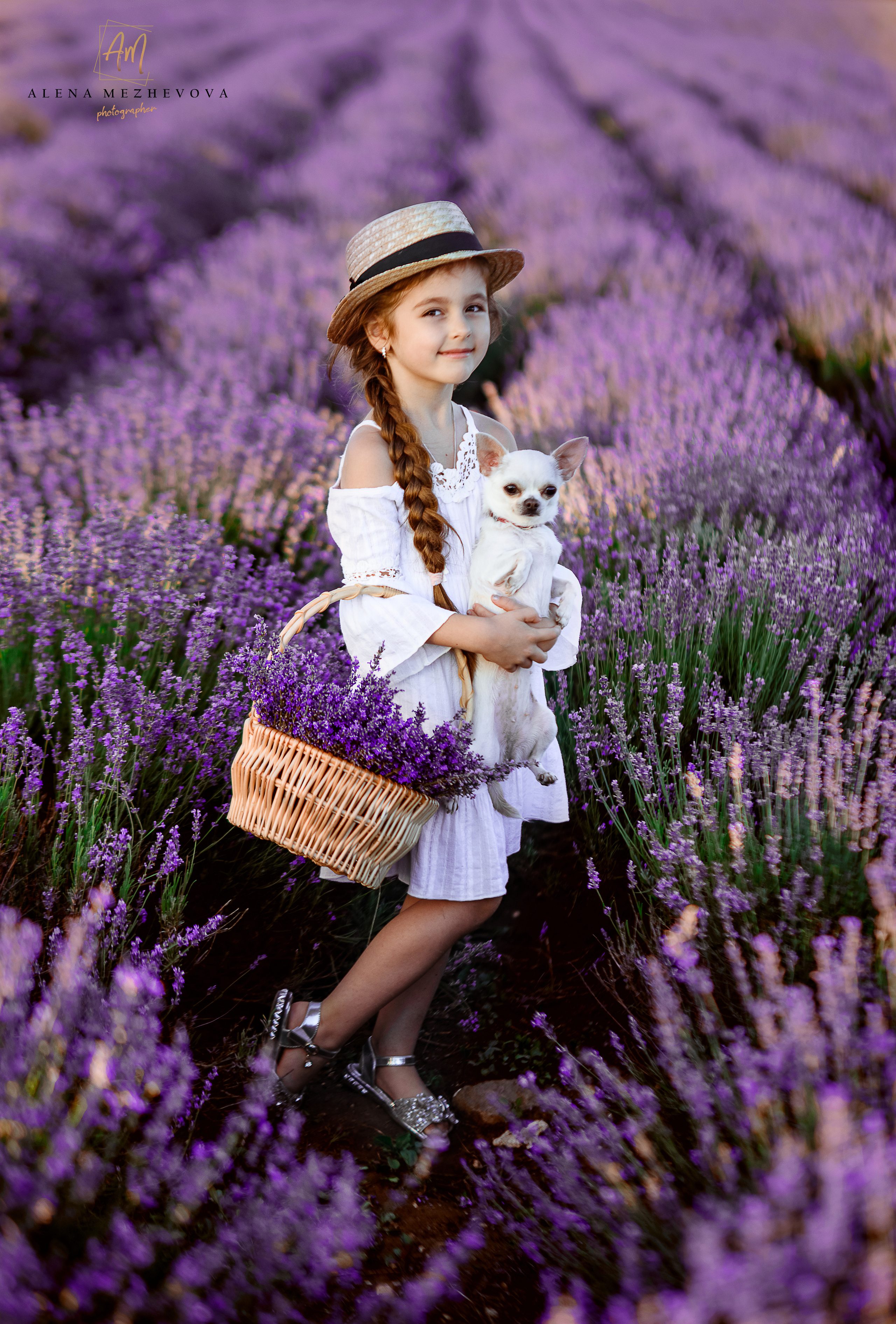 Фотосессия в лаванде. Свадебный и семейный фотограф и видеограф, Крым, Москва, Санкт -Петербург