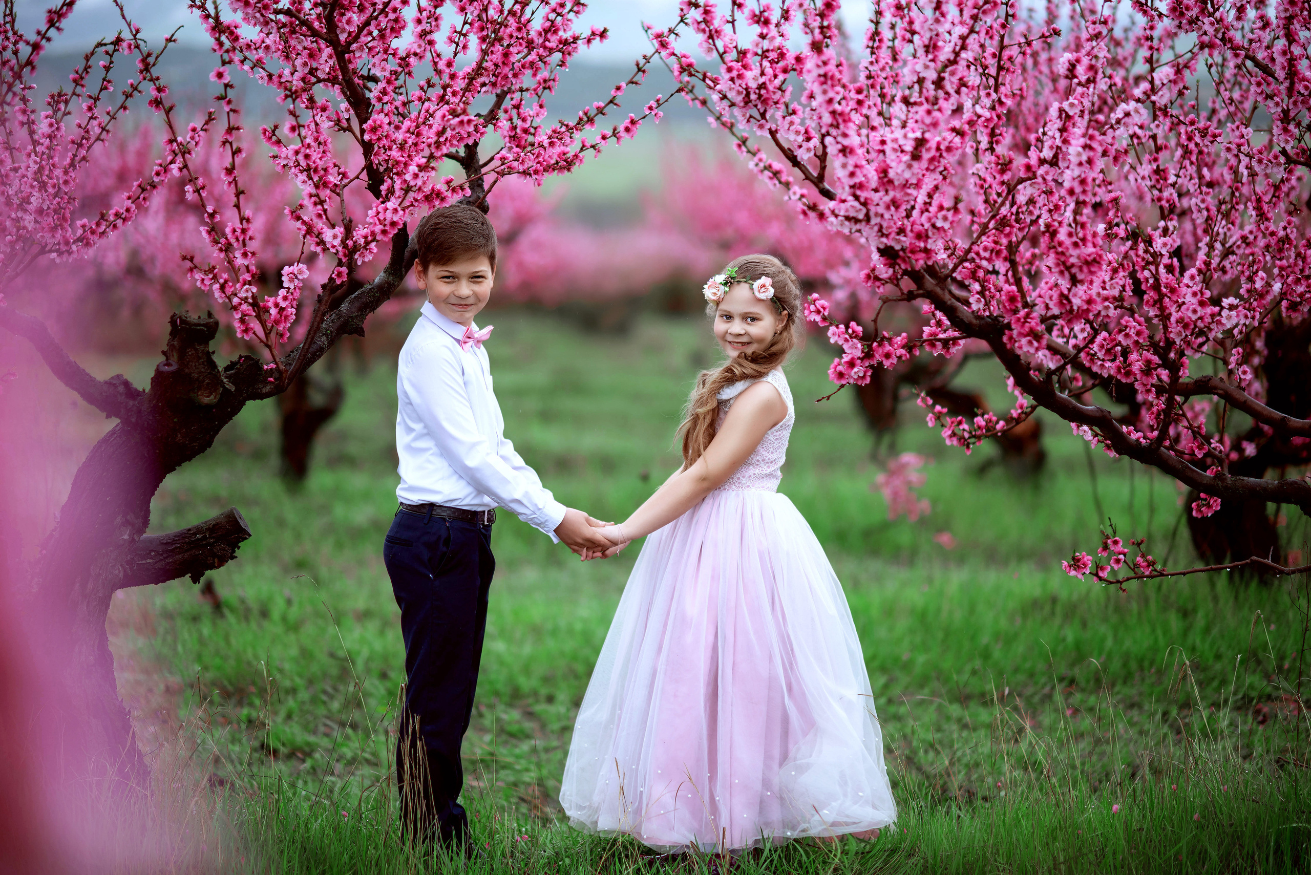 Фотосессия среди персиковых садов. Свадебный и семейный фотограф и видеограф, Крым, Москва, Санкт -Петербург