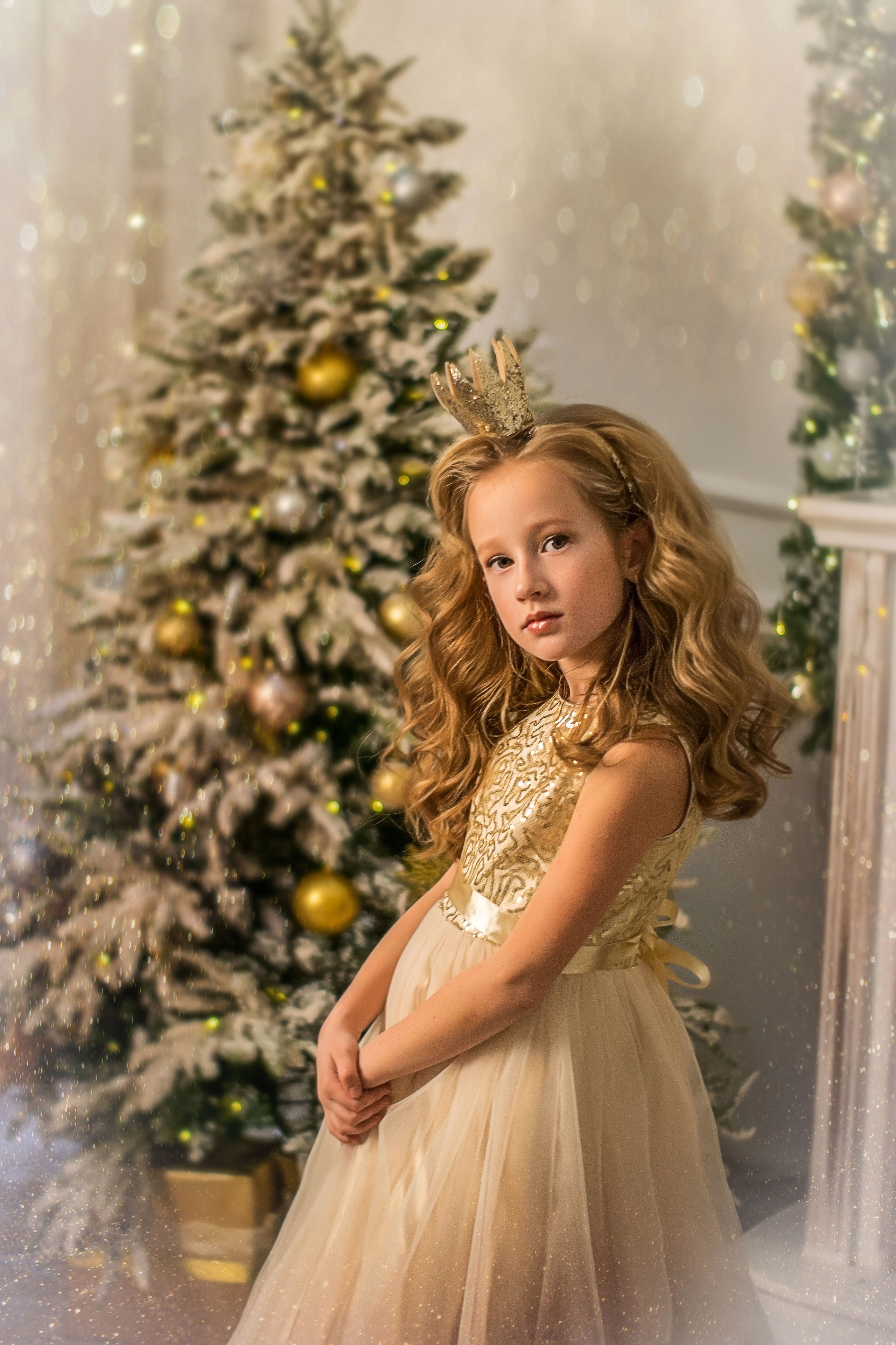 Новогоднее настроение. Свадебный и семейный фотограф и видеограф, Крым, Москва, Санкт -Петербург