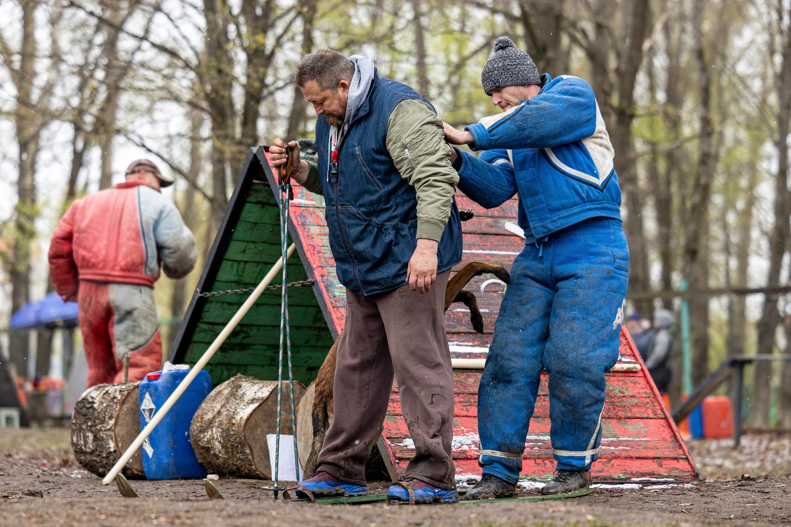 Квалификационные состязания по мондьорингу г. Вологда 11.05.24. Фотограф-анималист Анна Маринич