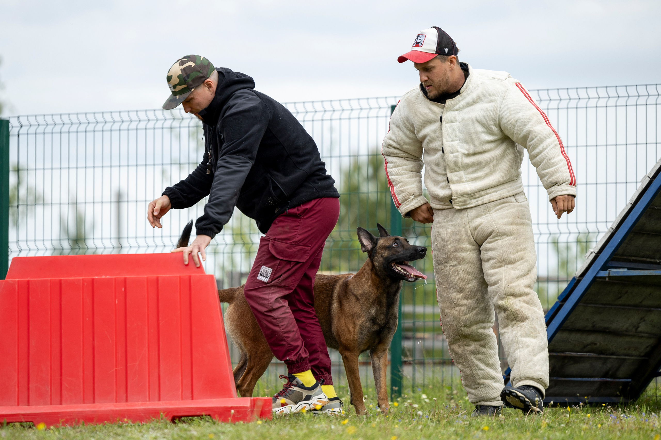 Испытания по мондьорингу в Нижнем Новгороде. Фотограф-анималист Анна Маринич
