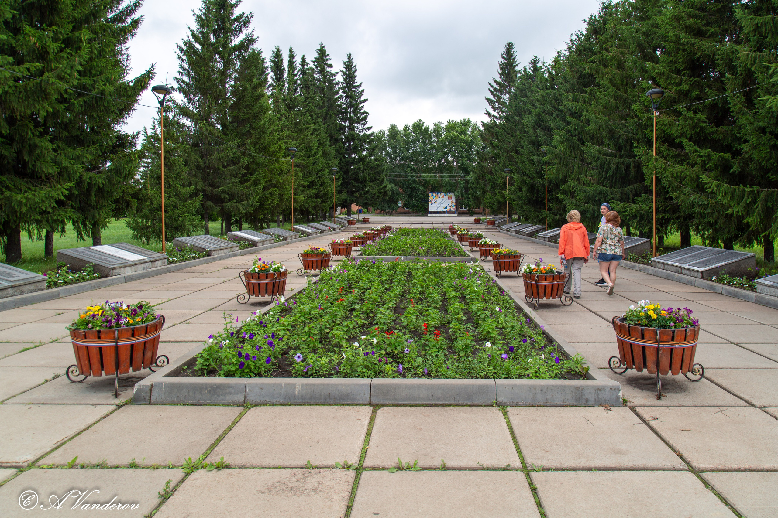 Калачинск 07.07.2024. Фотограф Омск | Александр Вандеров