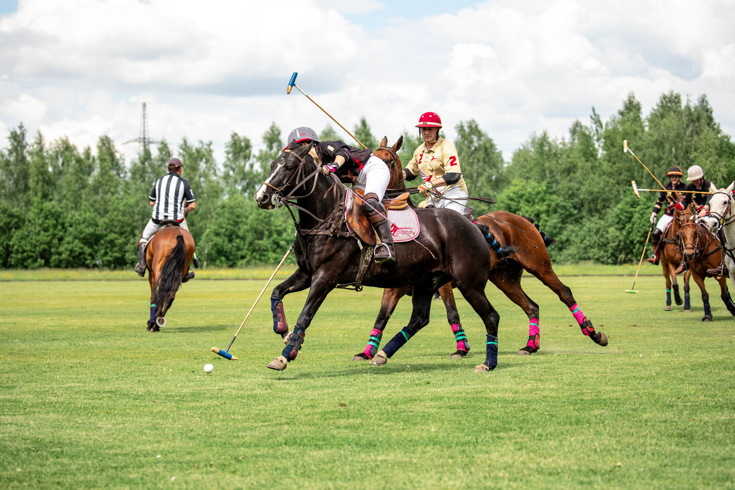 Конное поло. Mrs.Aquarelia Конный фотограф Марианна Леонтьева