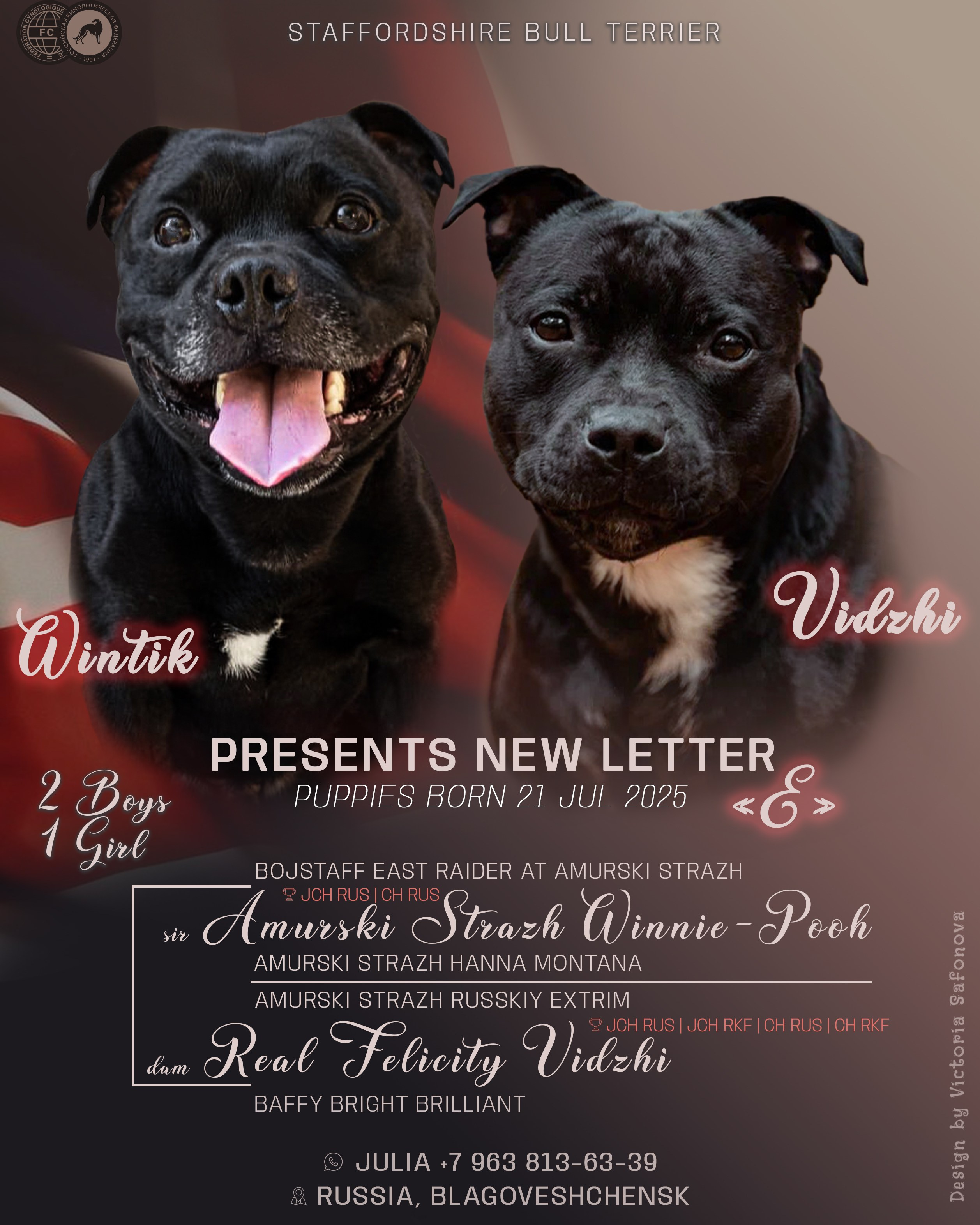 Анонсы помётов. Фотограф анималист Благовещенск. Сафонова Виктория