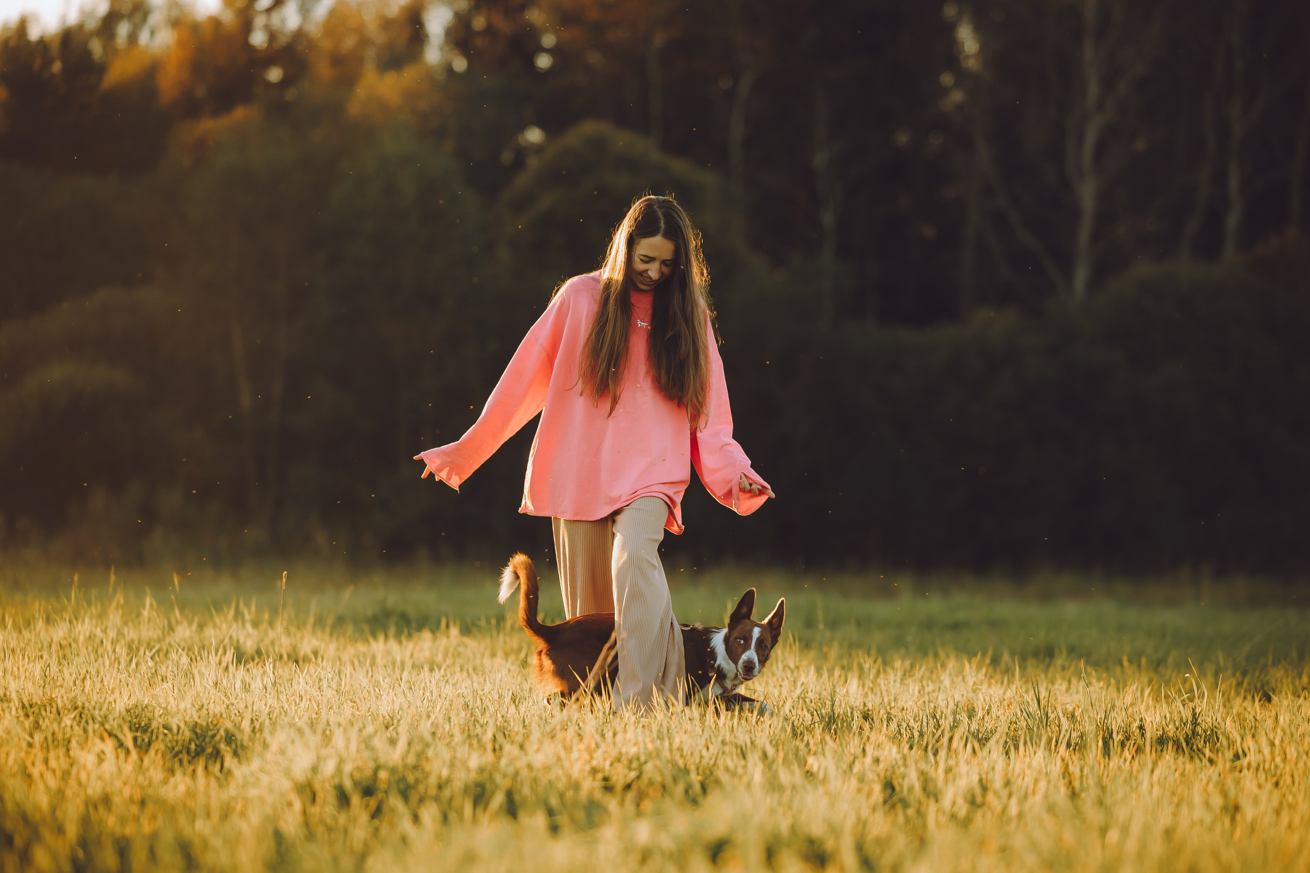 Выездной дог-тренинг от школы «Шерсть имею», Тованово