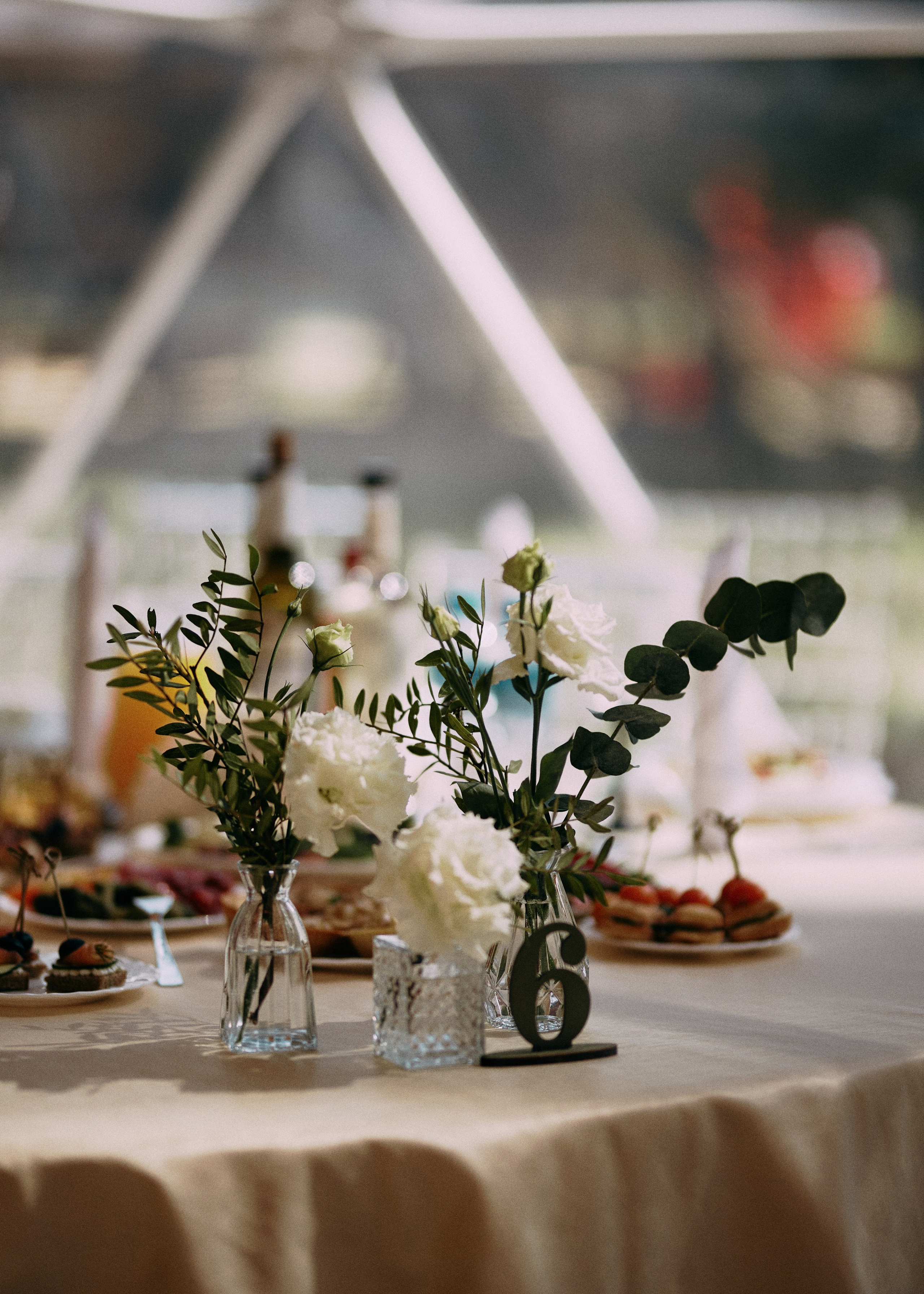 Алексей и Жанна. Фотограф|Катя Рикошетер