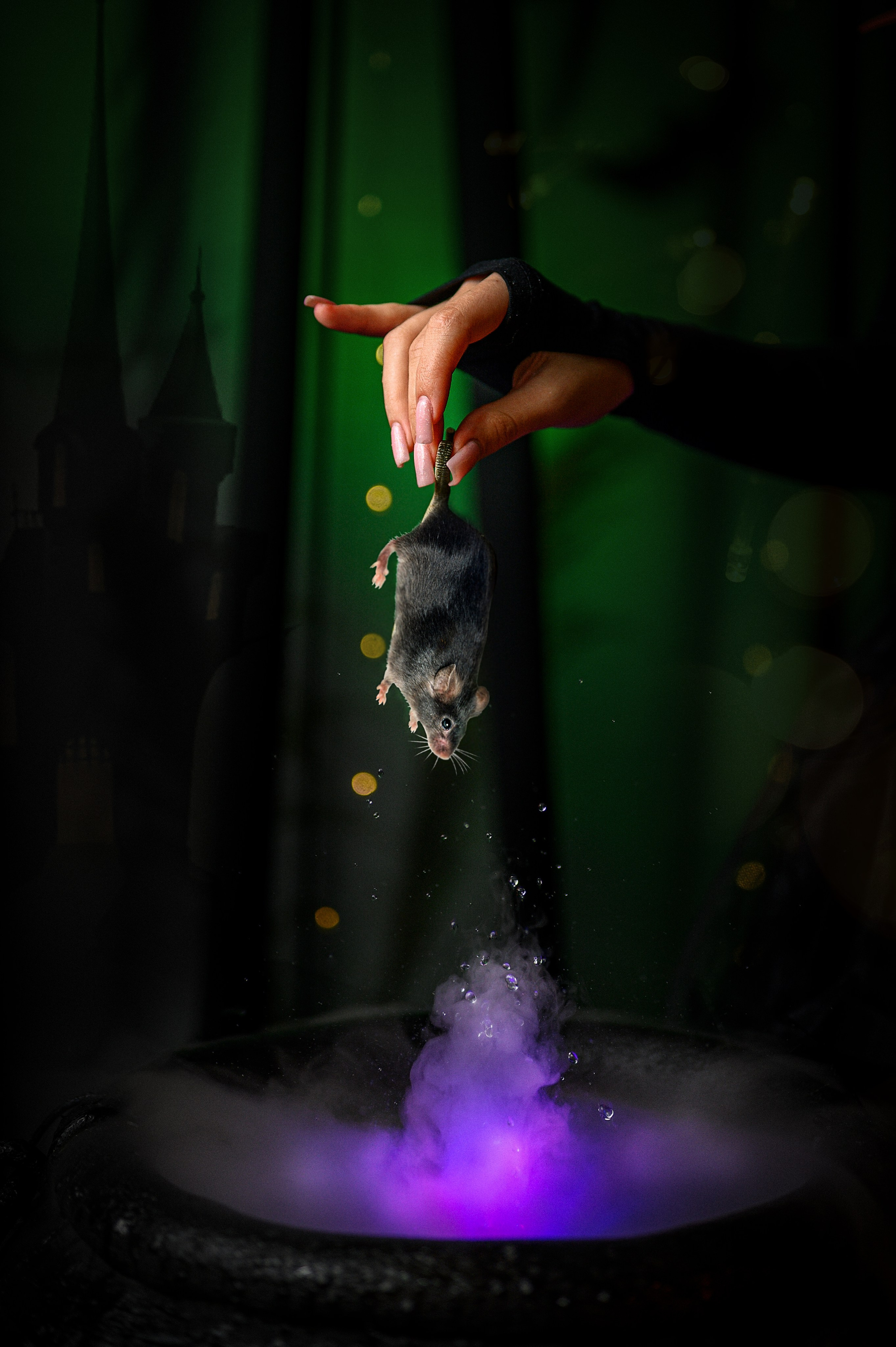 Шабаш. Семейный и детский фотограф в Канске и Канском р-не, Красноярск и