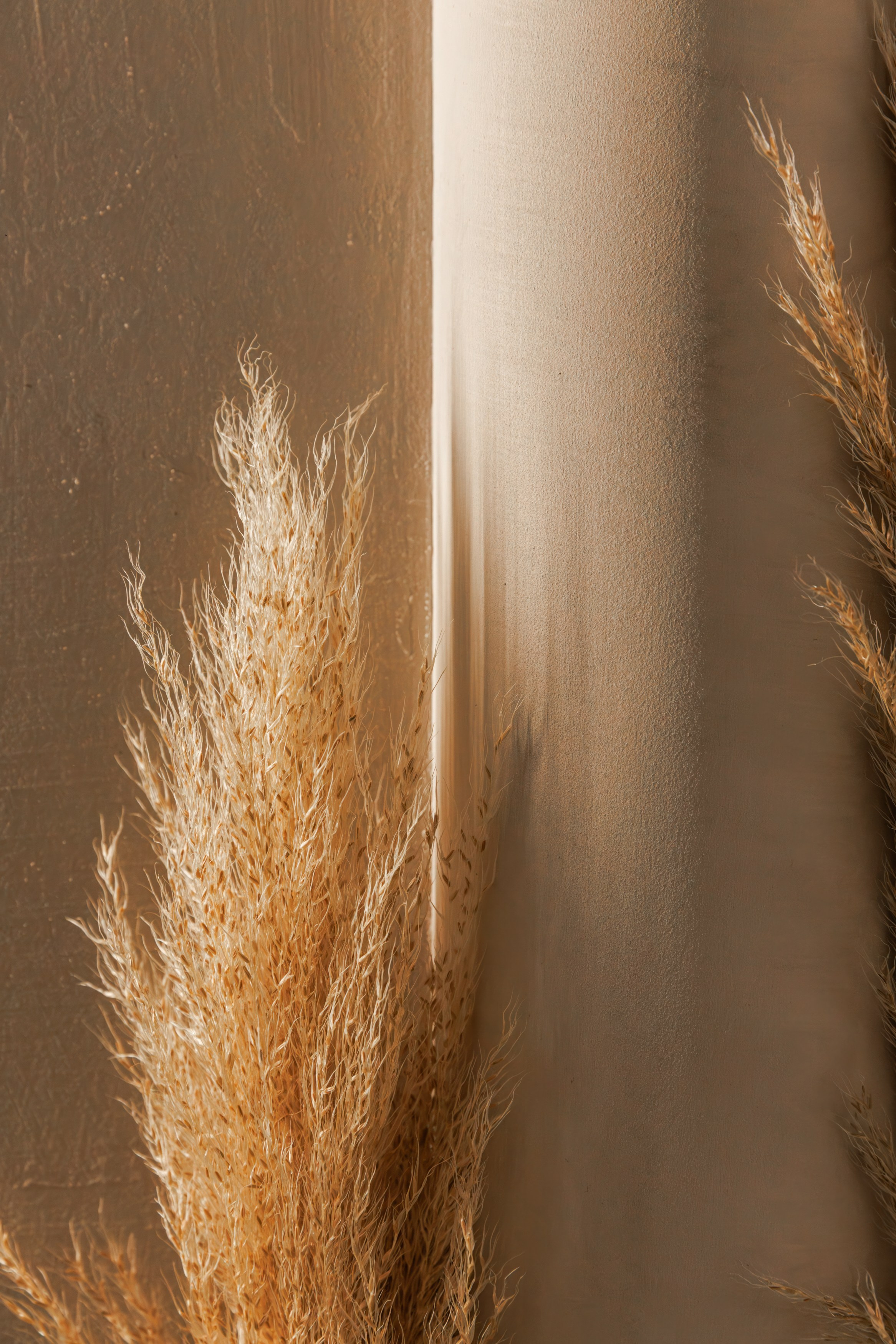 Текстура. Репортажный фотограф в Санкт-Петербурге Жолудев Владислав