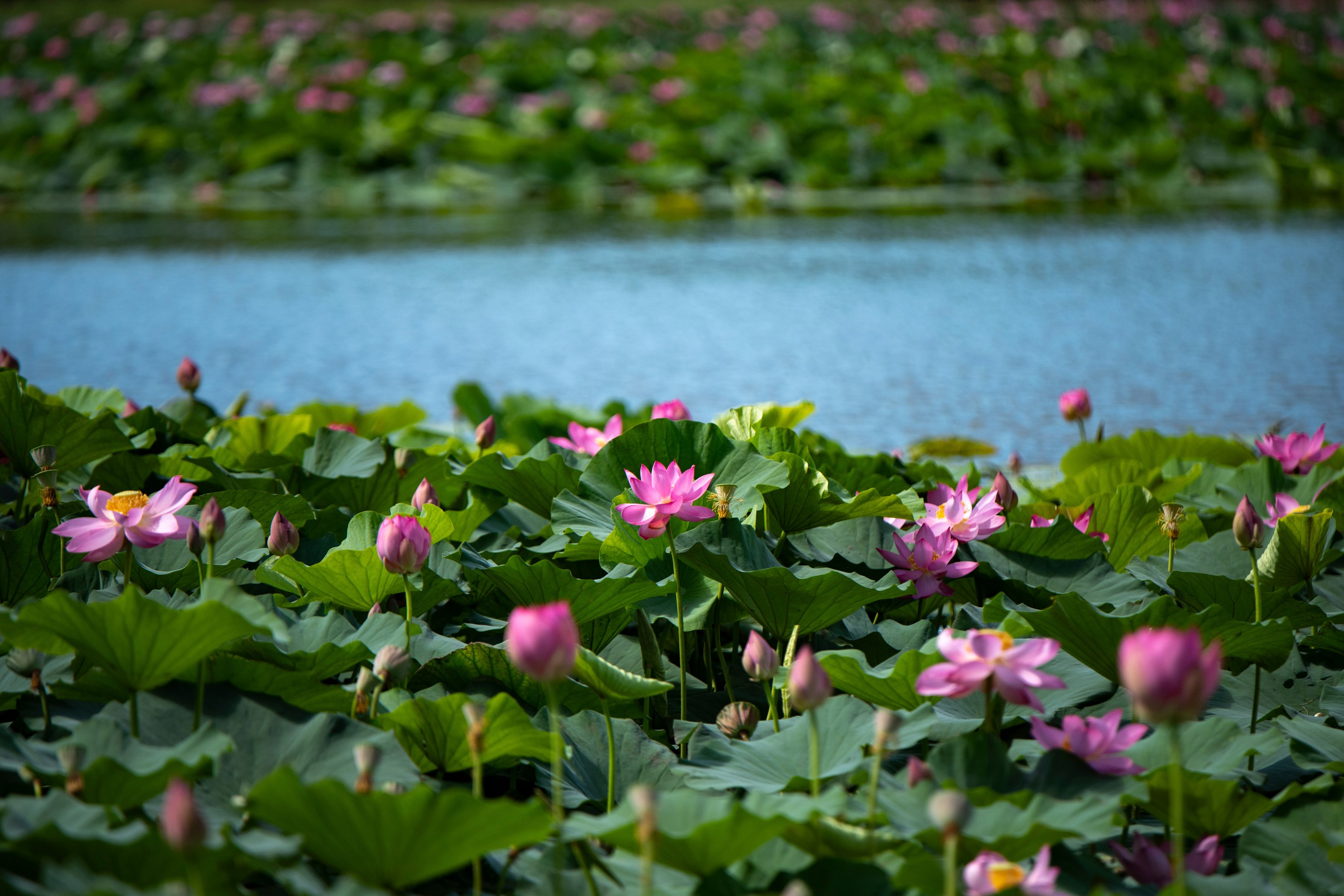 Природа Хабаровского края. Команда фотографов Кристины Ивановой