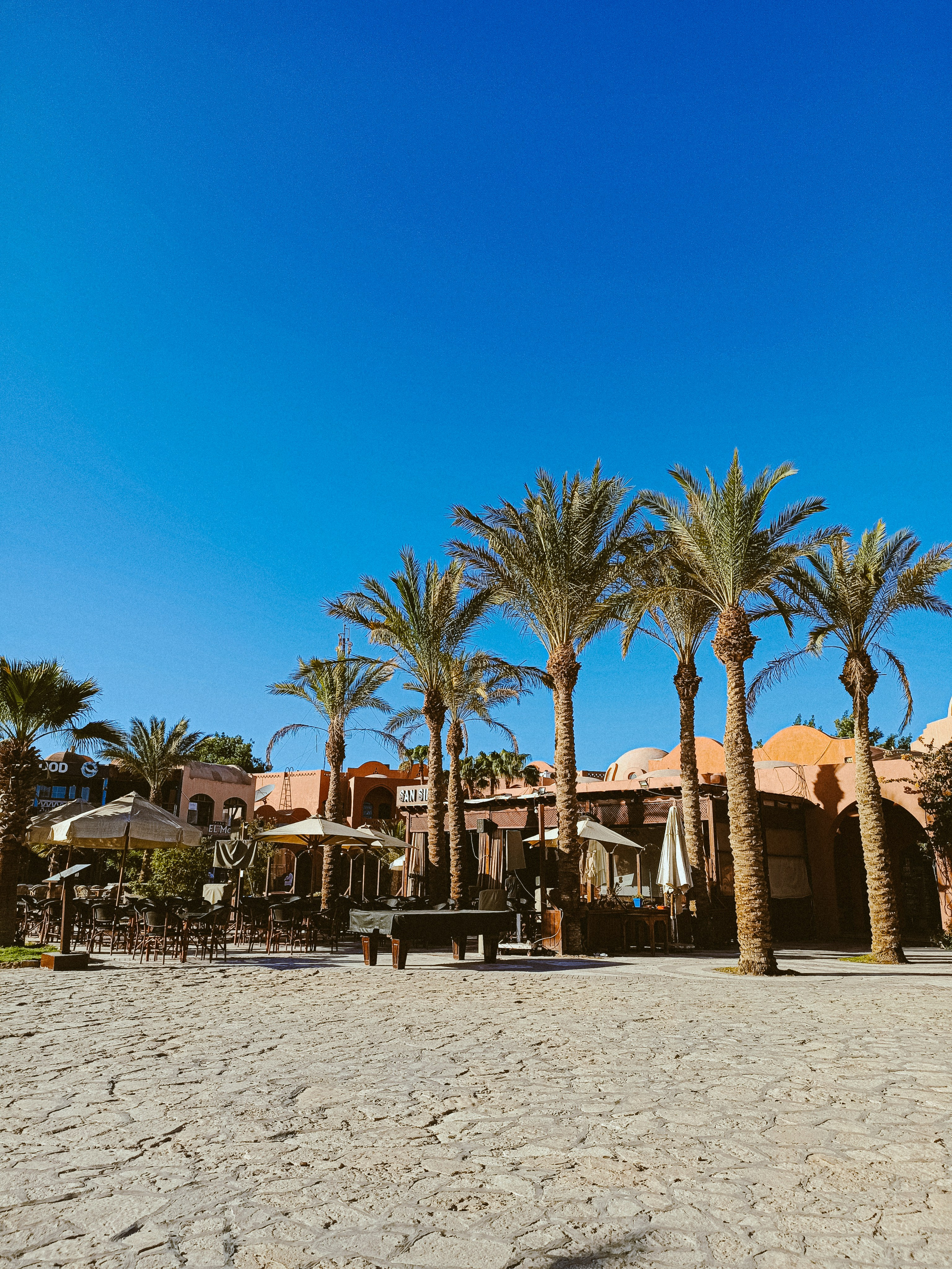 Мобильная. Jorgis — фотограф в Хургаде / обучение фотографии