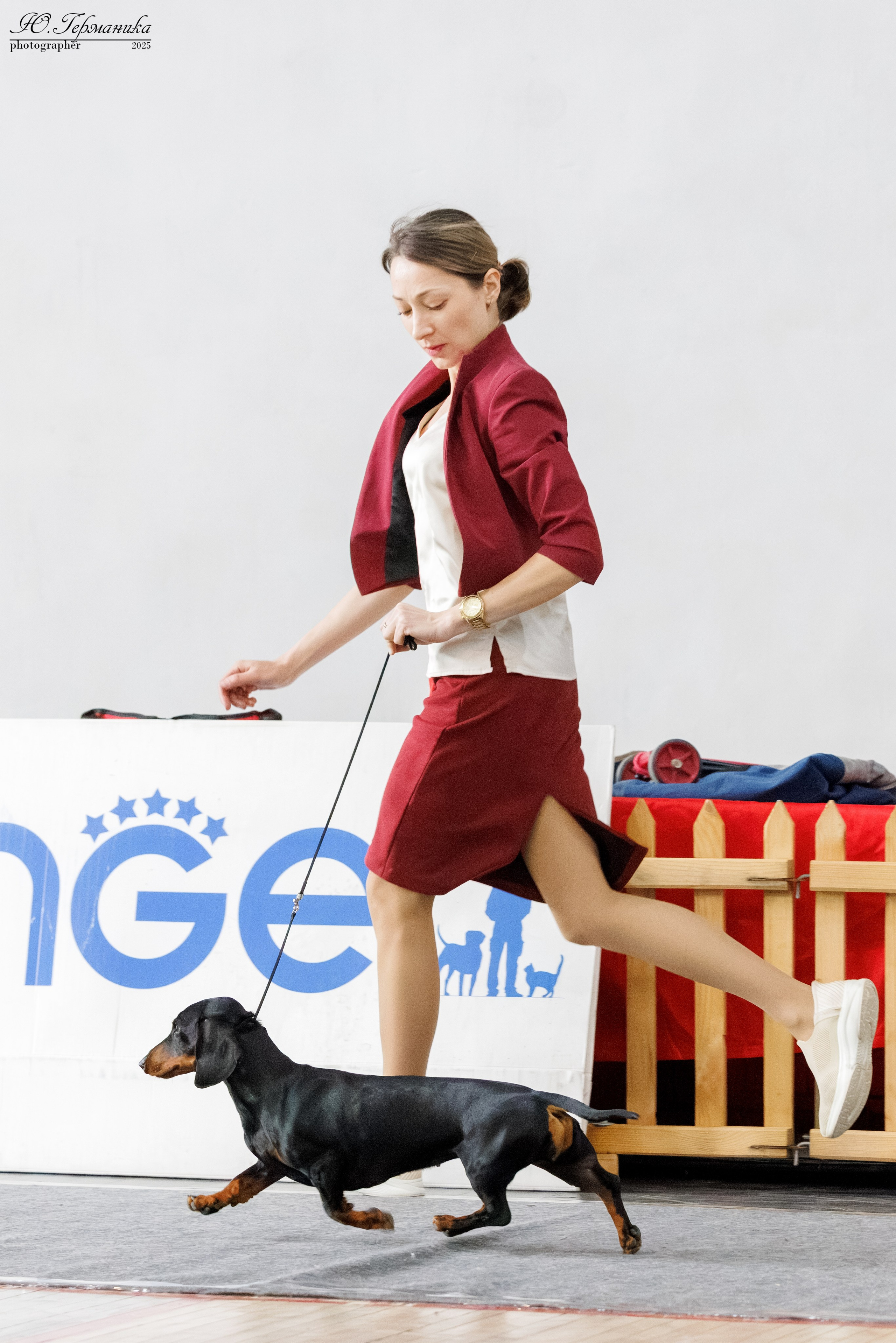 Ереван 2х CACIB 29-30.04.2025. Фотограф-анималист Юлия Германика