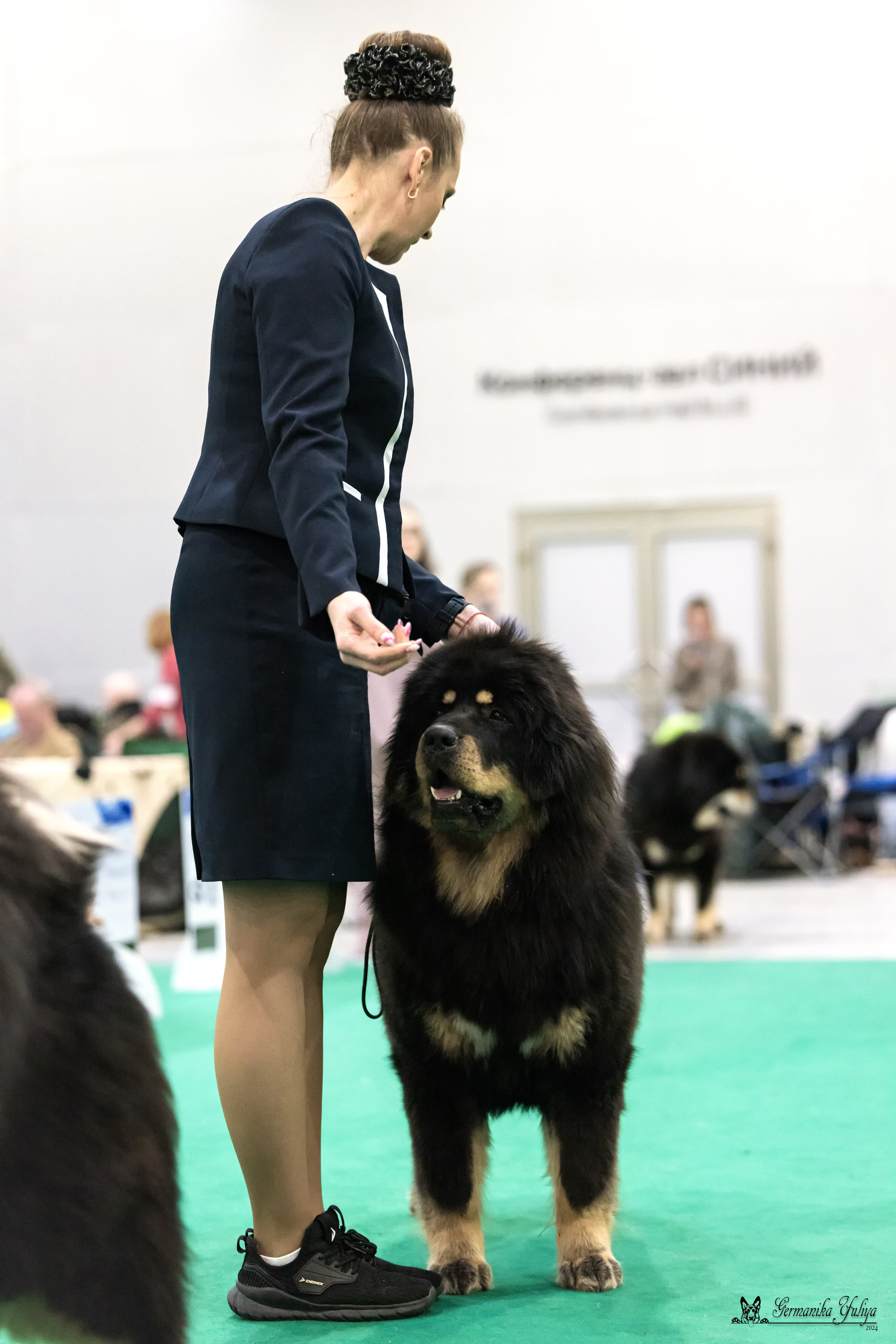 Сабанеевка 26-27.01.2024. Фотограф-анималист Юлия Германика