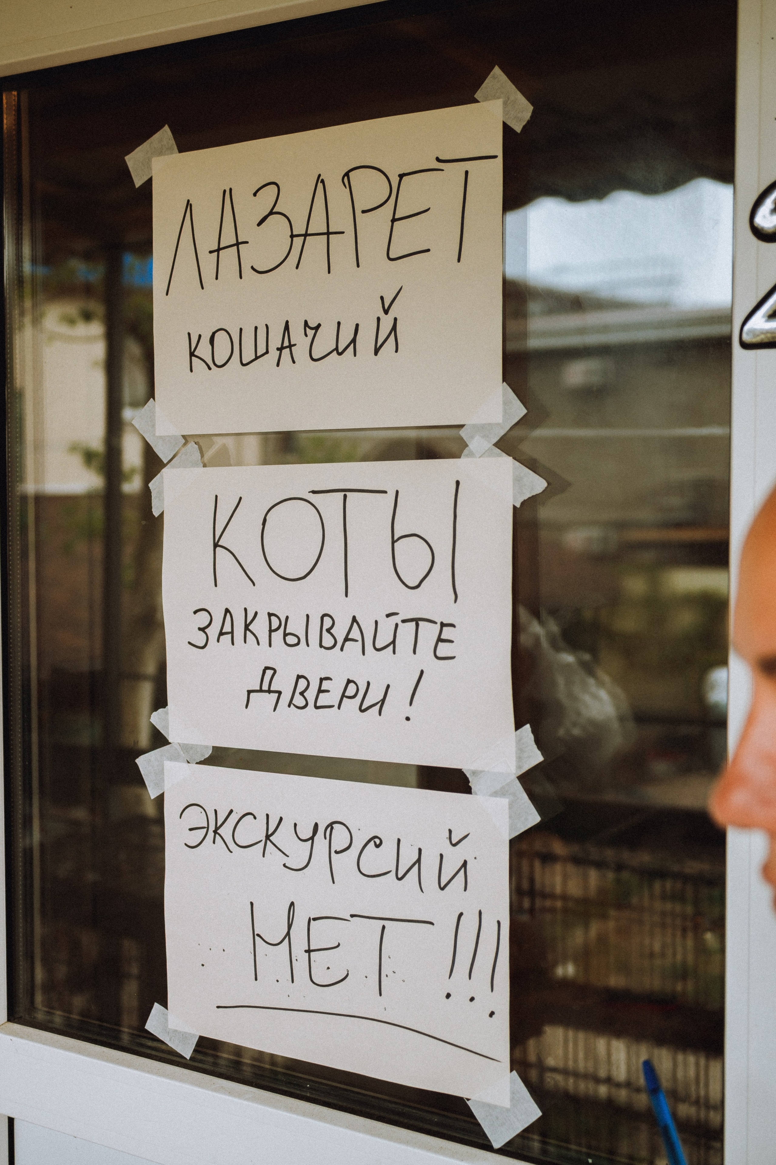 Шанс на жизнь (Животные пострадавшие в Туапсе)