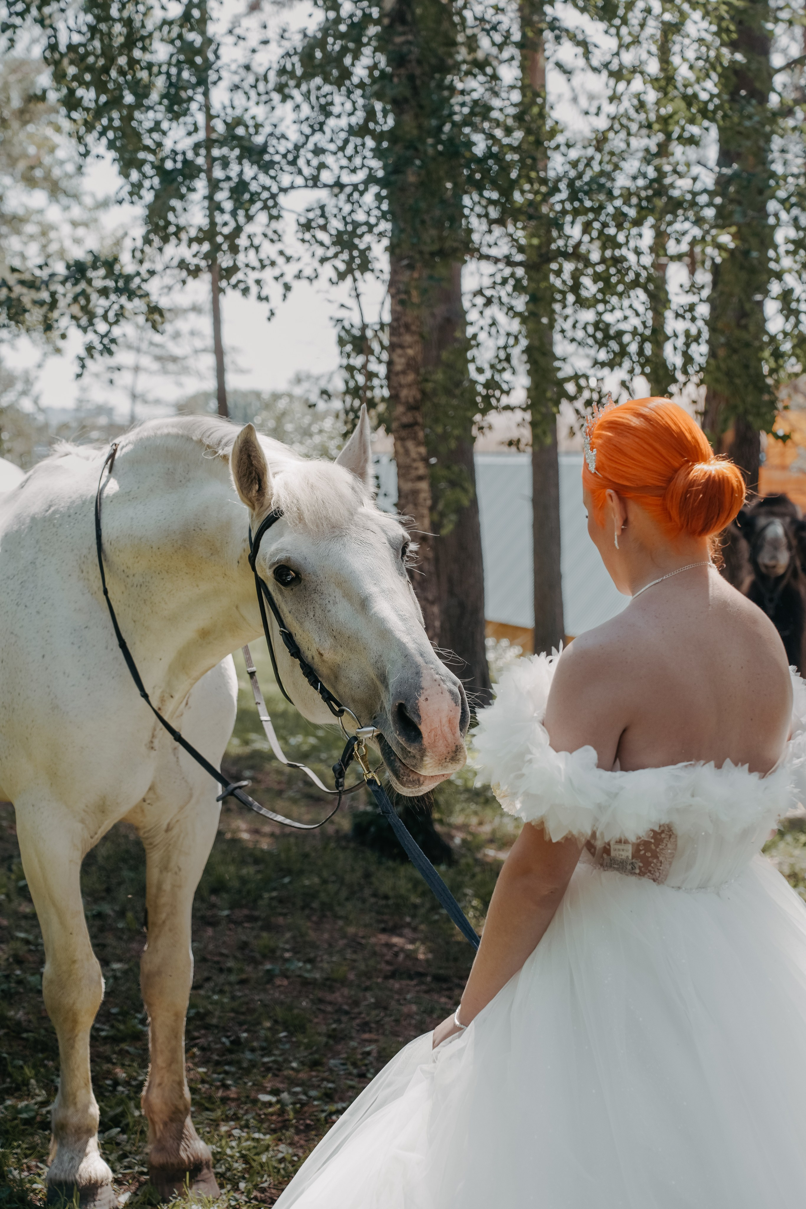 Никита и Анастасия 25'. Фотограф, видеограф и пилот дрона на Байкале