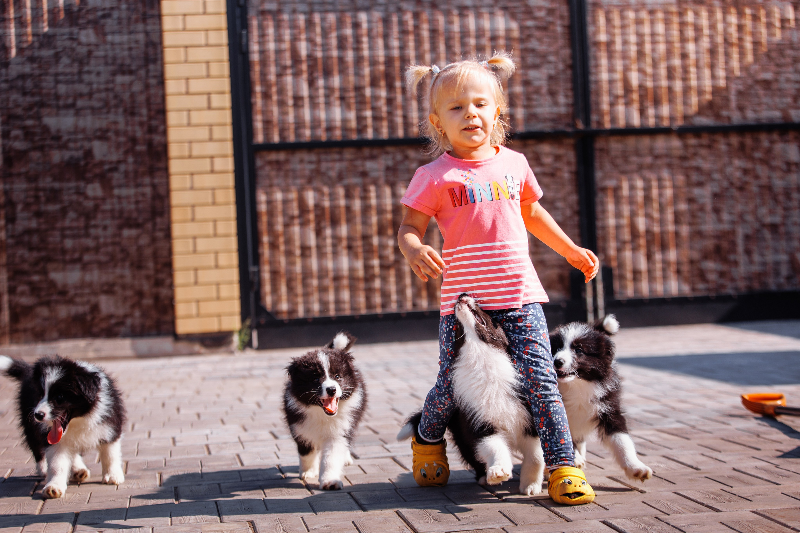 МММ — маленькое мягкое милое. О нас