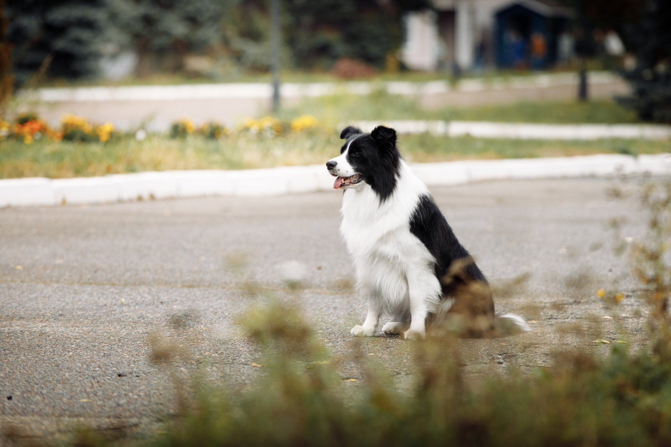 Казань. О нас