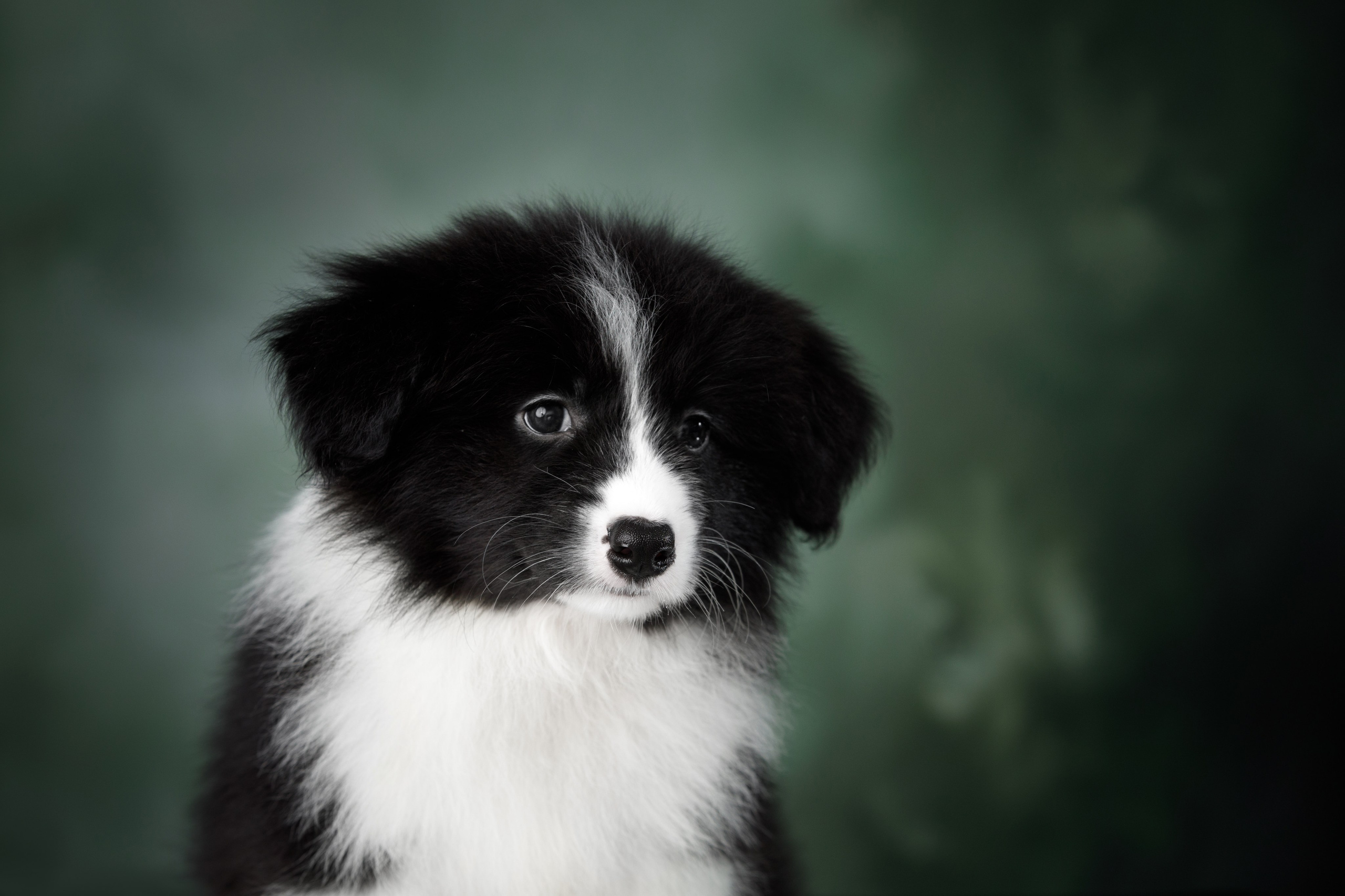 Март. Весна. 22. О нас