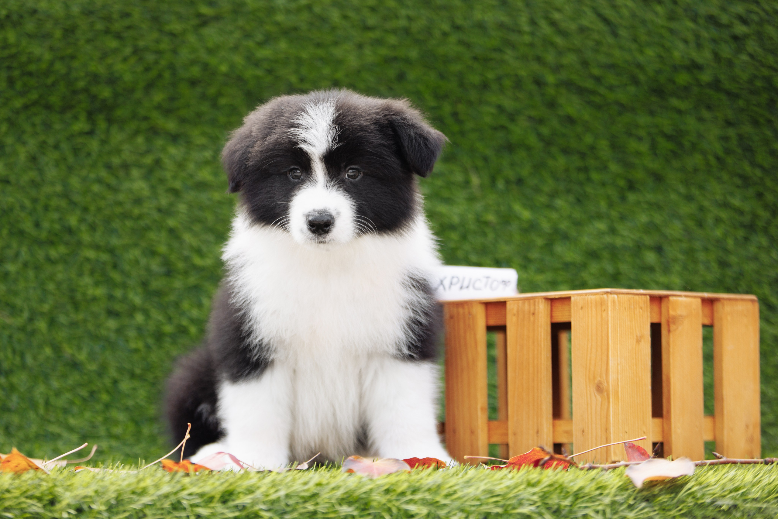 Новый лист. О нас