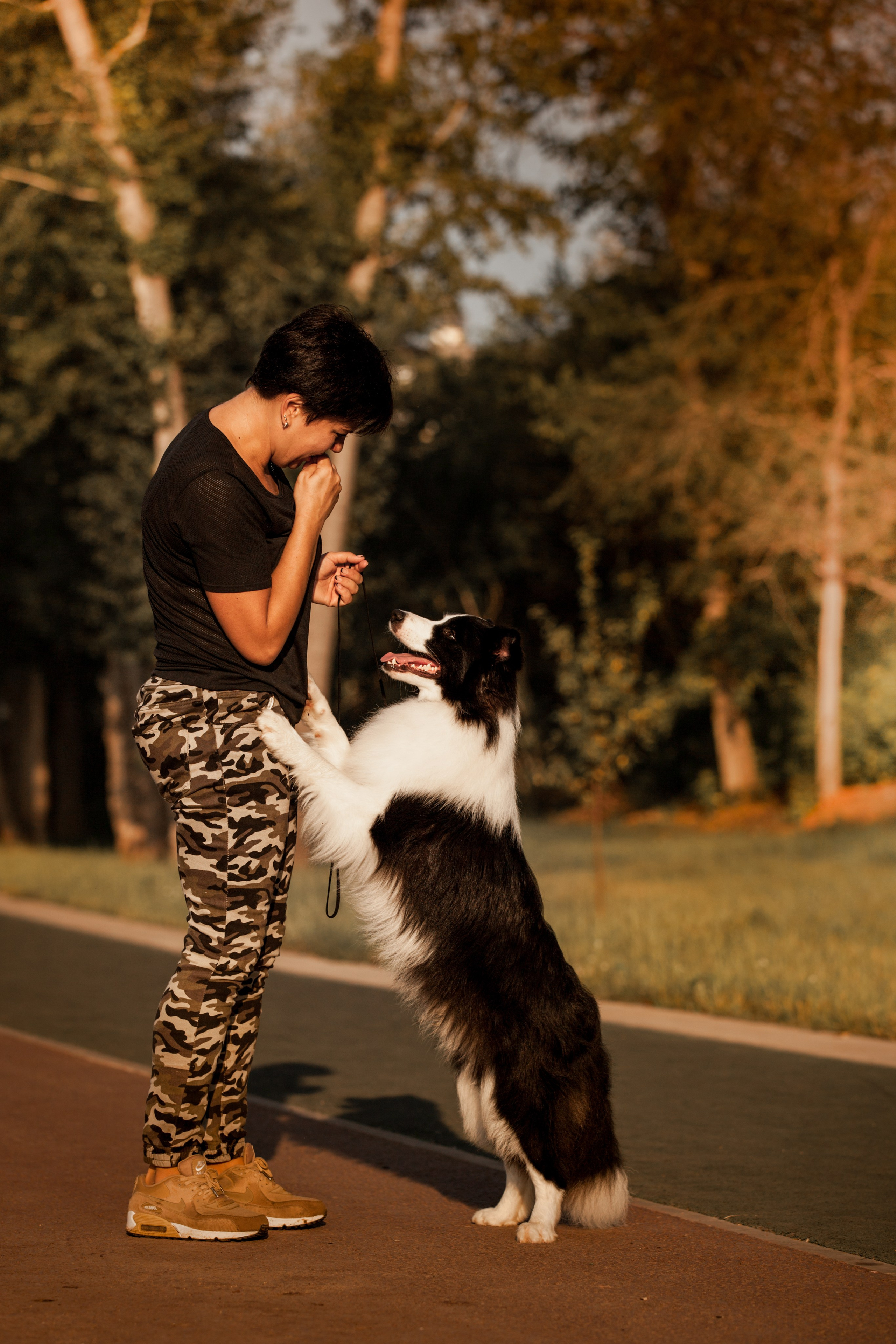 Сочный рассвет, на который решились. О нас