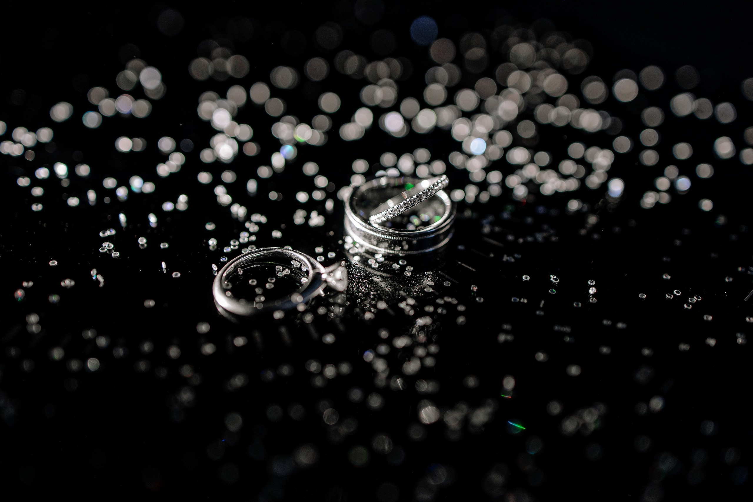 Свадебная фотосессия в отеле с собаками. Свадебный и семейный фотограф в Тамбове Сергей Григорьев