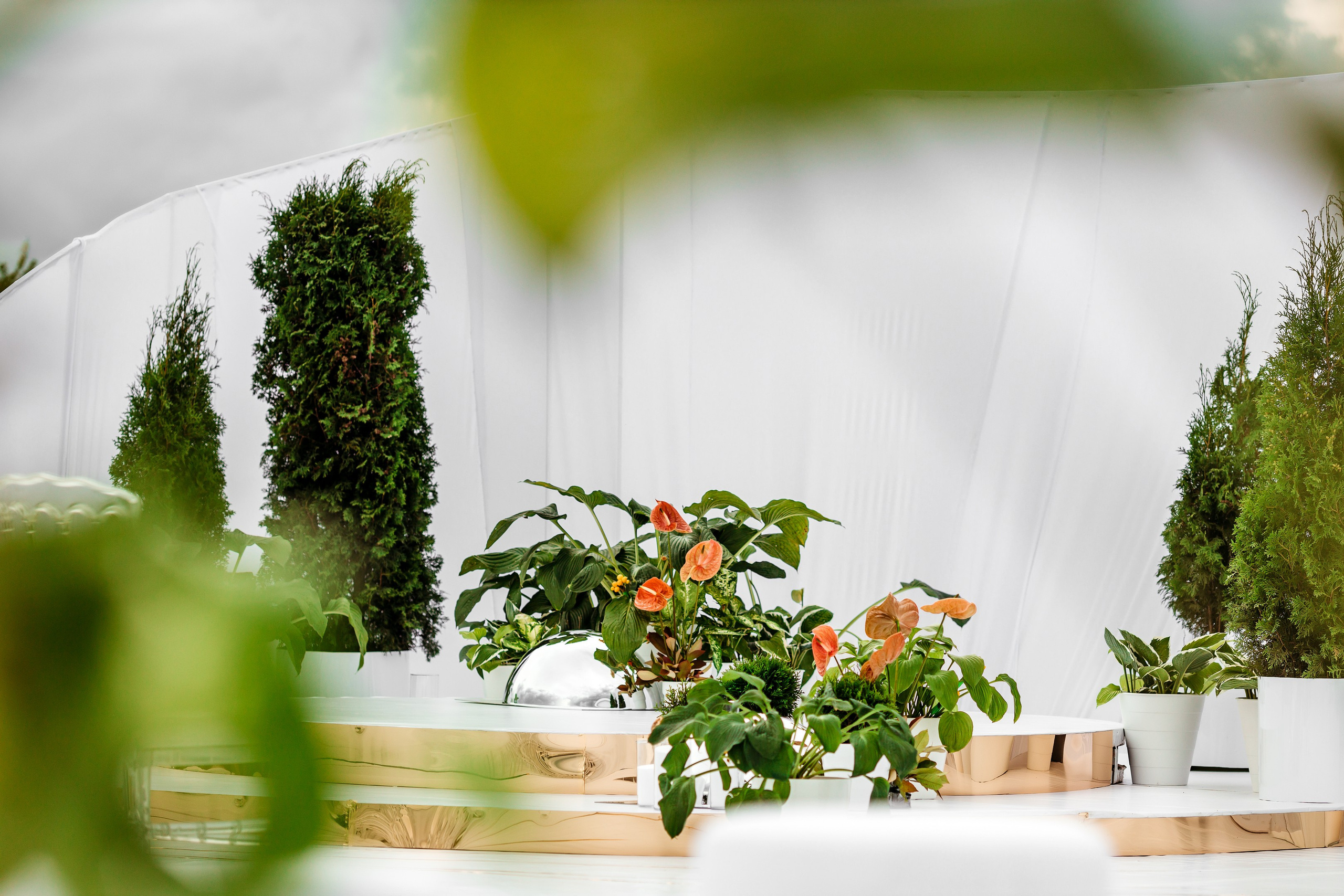 Свадьба в Тамбове. Свадебный и семейный фотограф в Тамбове Сергей Григорьев