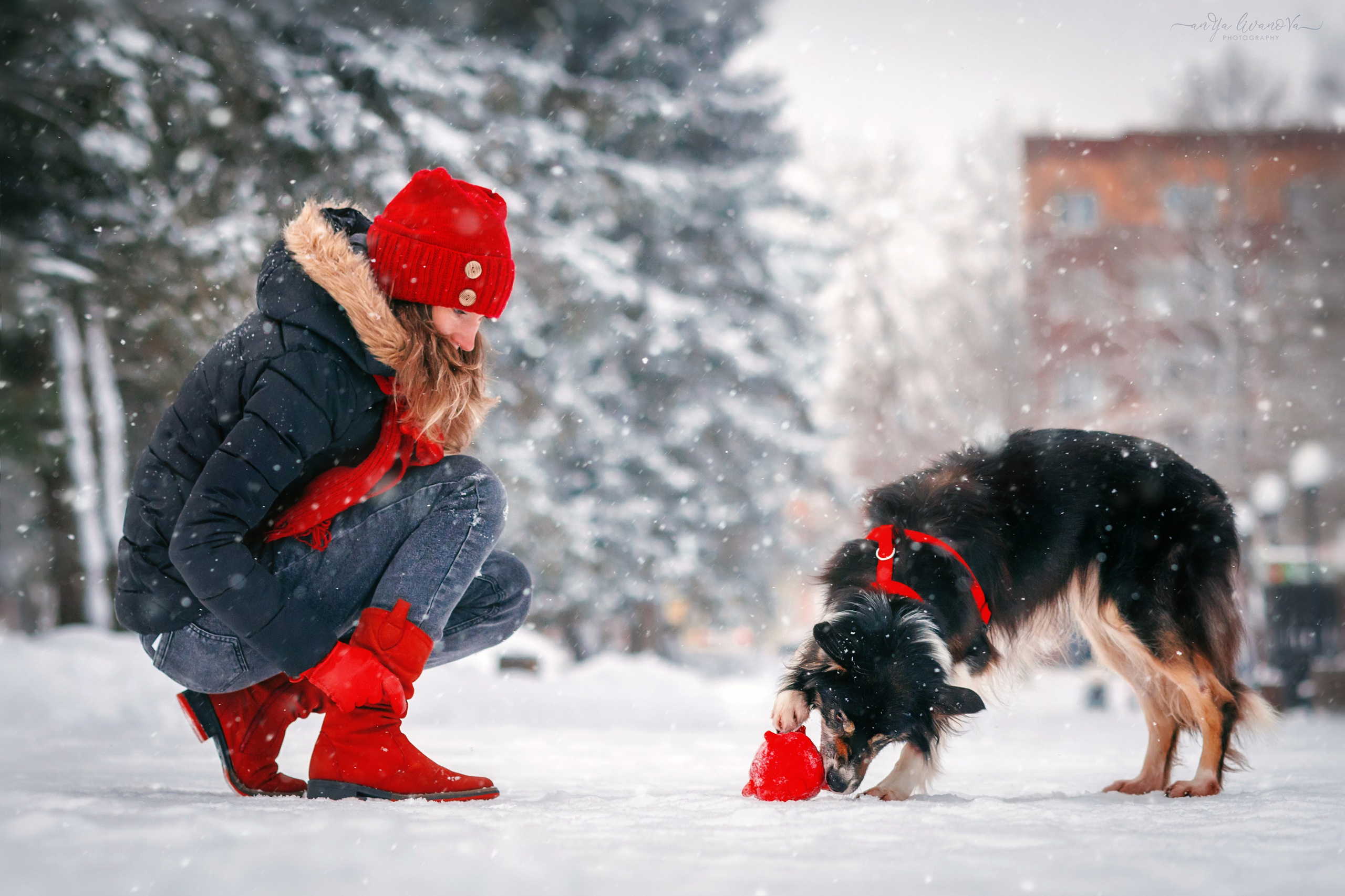 Рокки. Фотограф анималист Аня Ливанова | Рыбинск