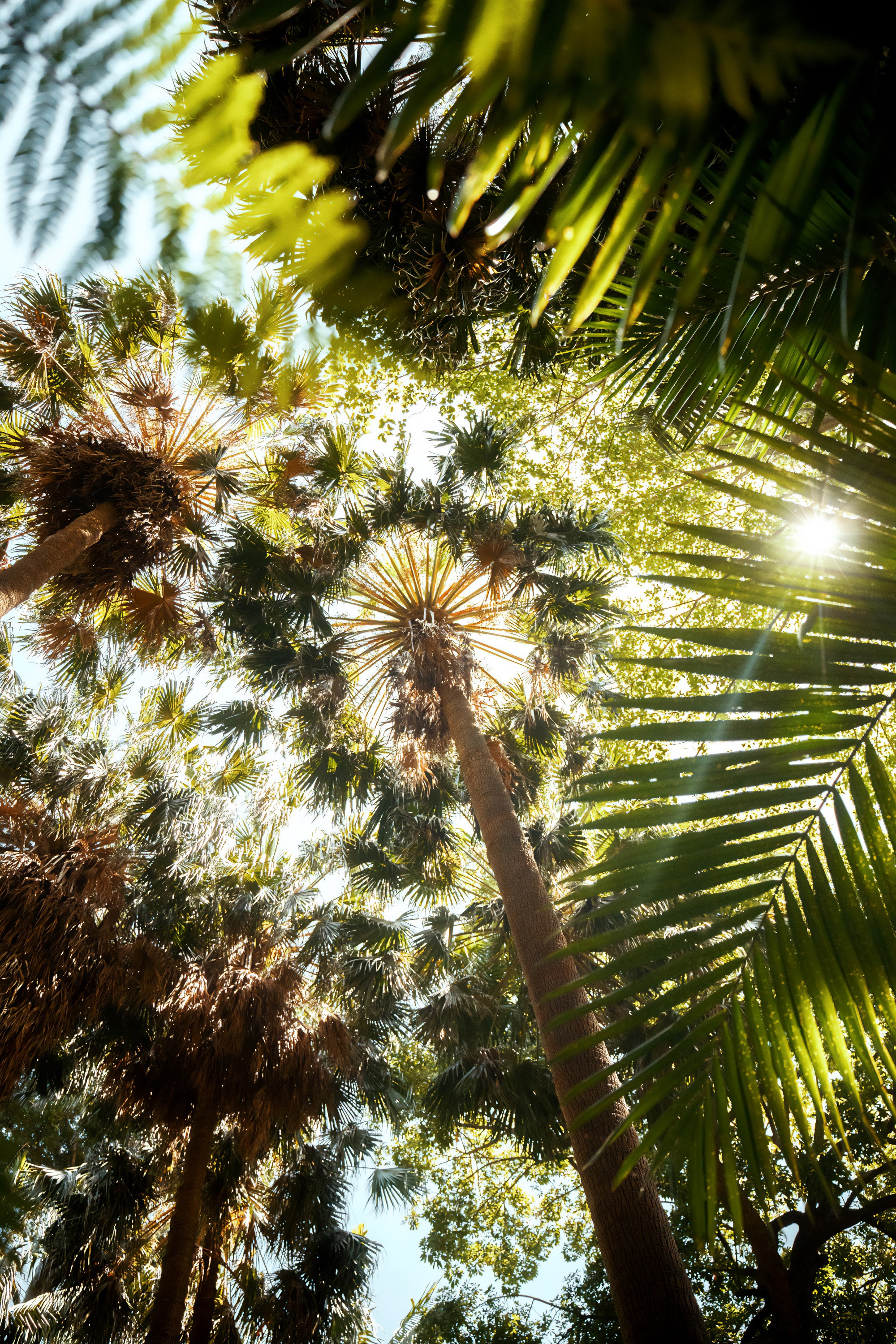 Портфолио. Фотограф в Хабаровске. Фотография за 24 часа