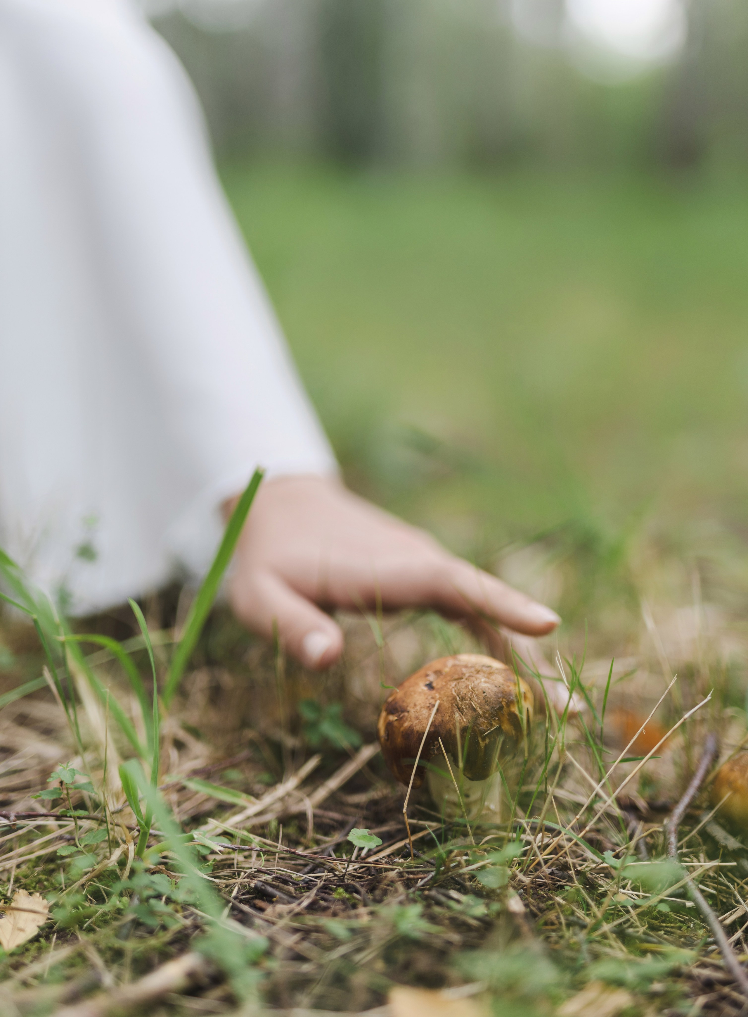 Красная шапочка. Фотограф в Нижнем Новгороде, Дзержинске Олеся Хозяева