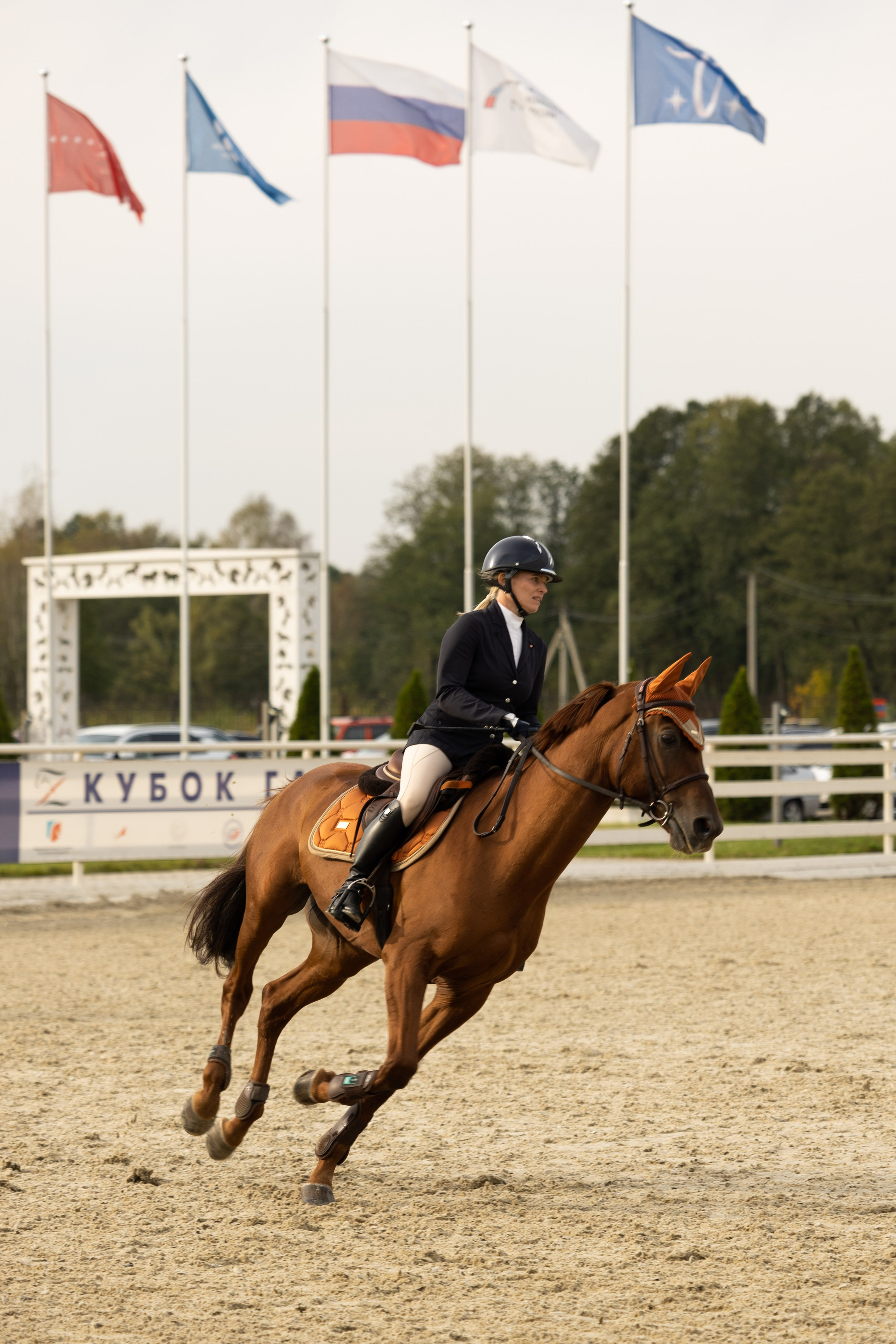 Соревнования по конкуру. Фотограф в Москве Светлана Богначева