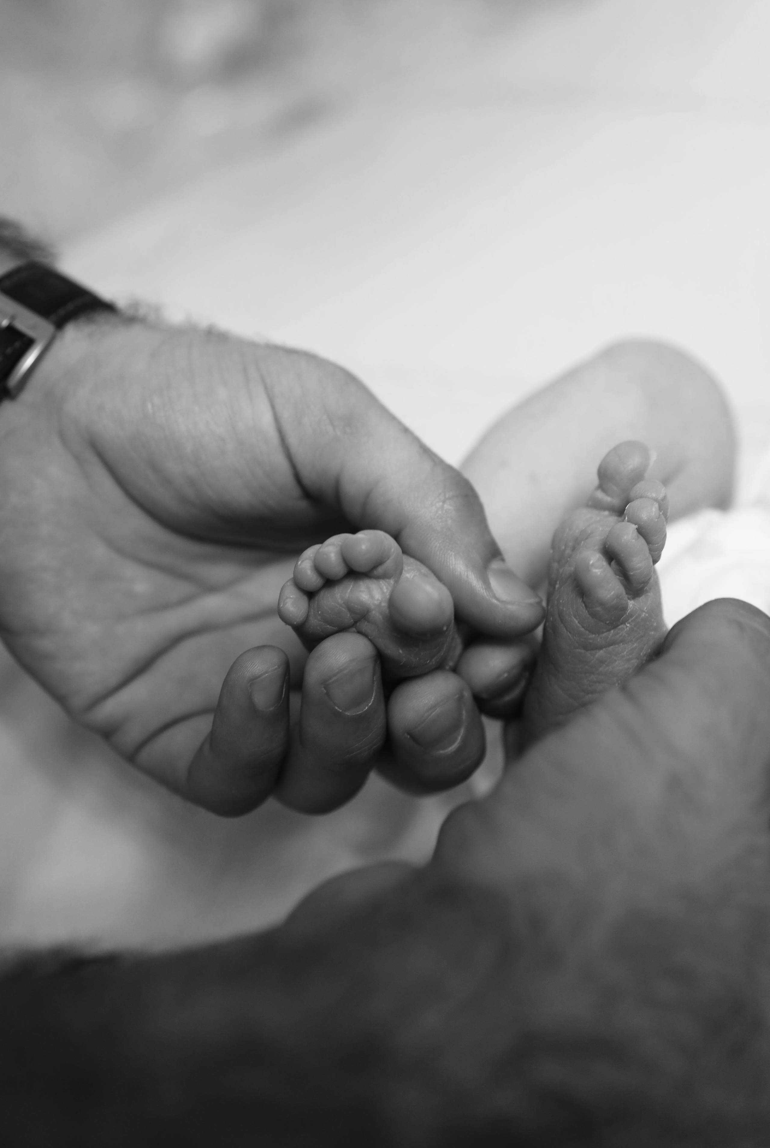 Выписка. Shirin Ustaeva Photography—больше, чем фотография