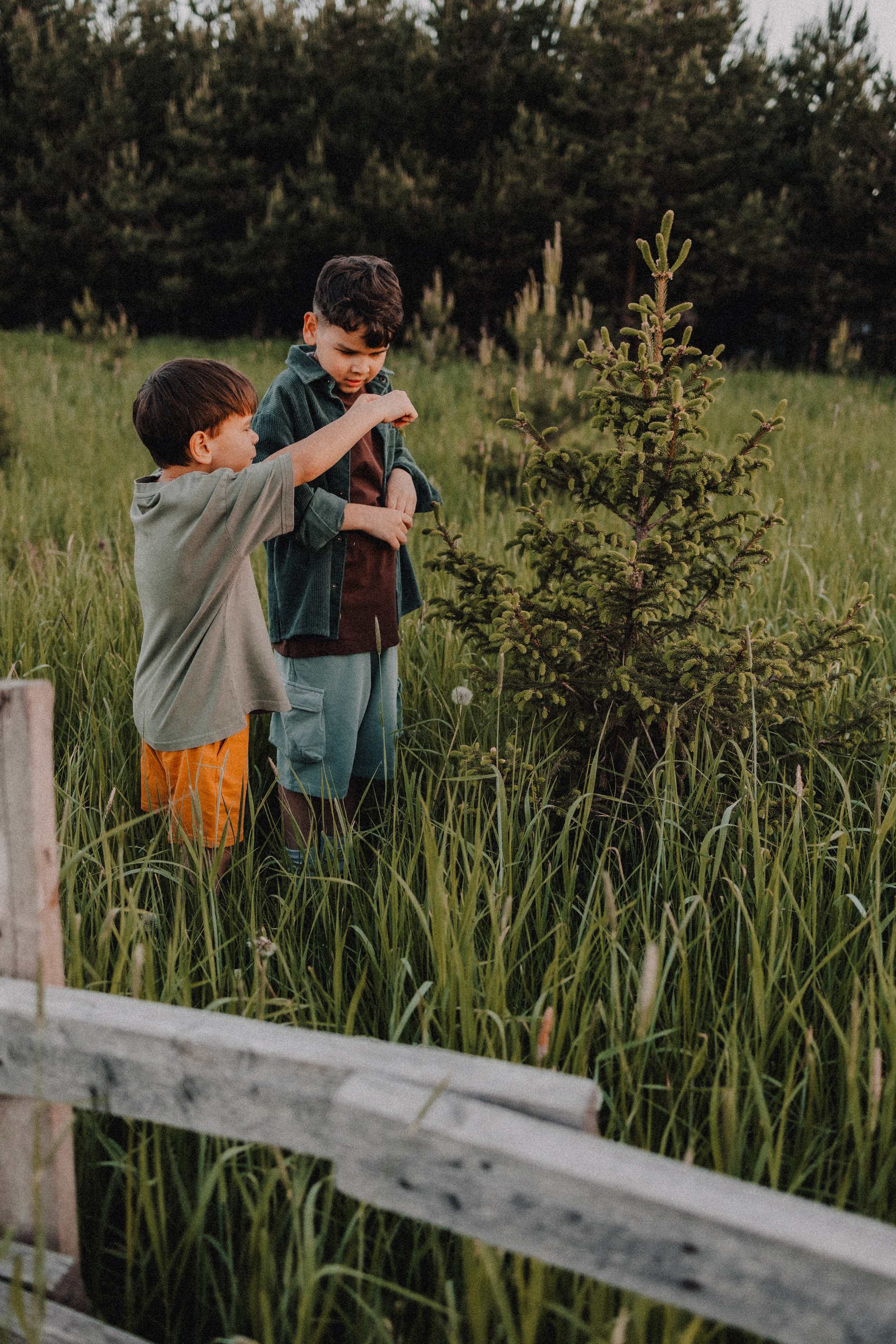 Руслан и Тимур 3. Семейный фотограф Москва