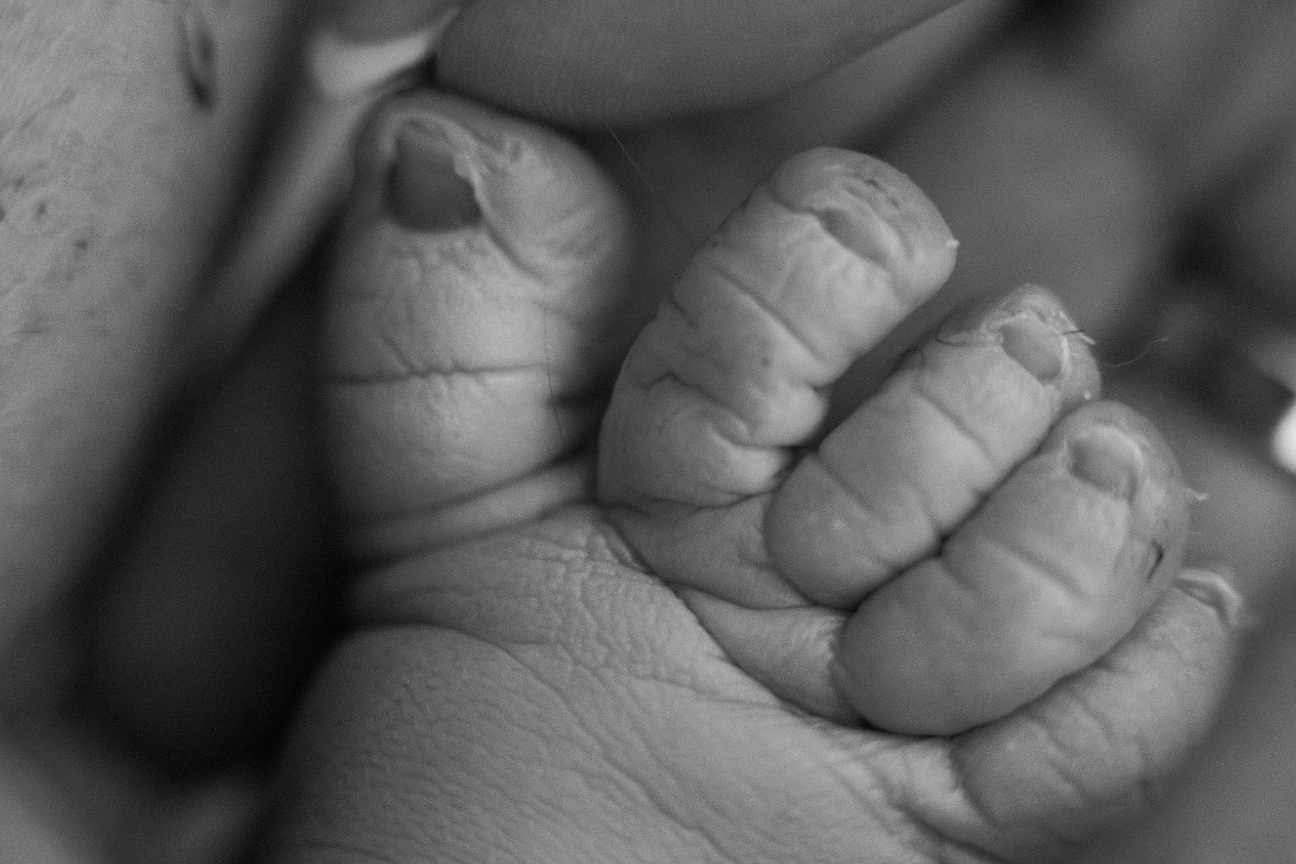 Съемка родов. Рождение Аглаи. Клинический госпиталь MD GROUP Лахта. Фотограф на роды в Санкт-Петербурге Екатерина Сысоева