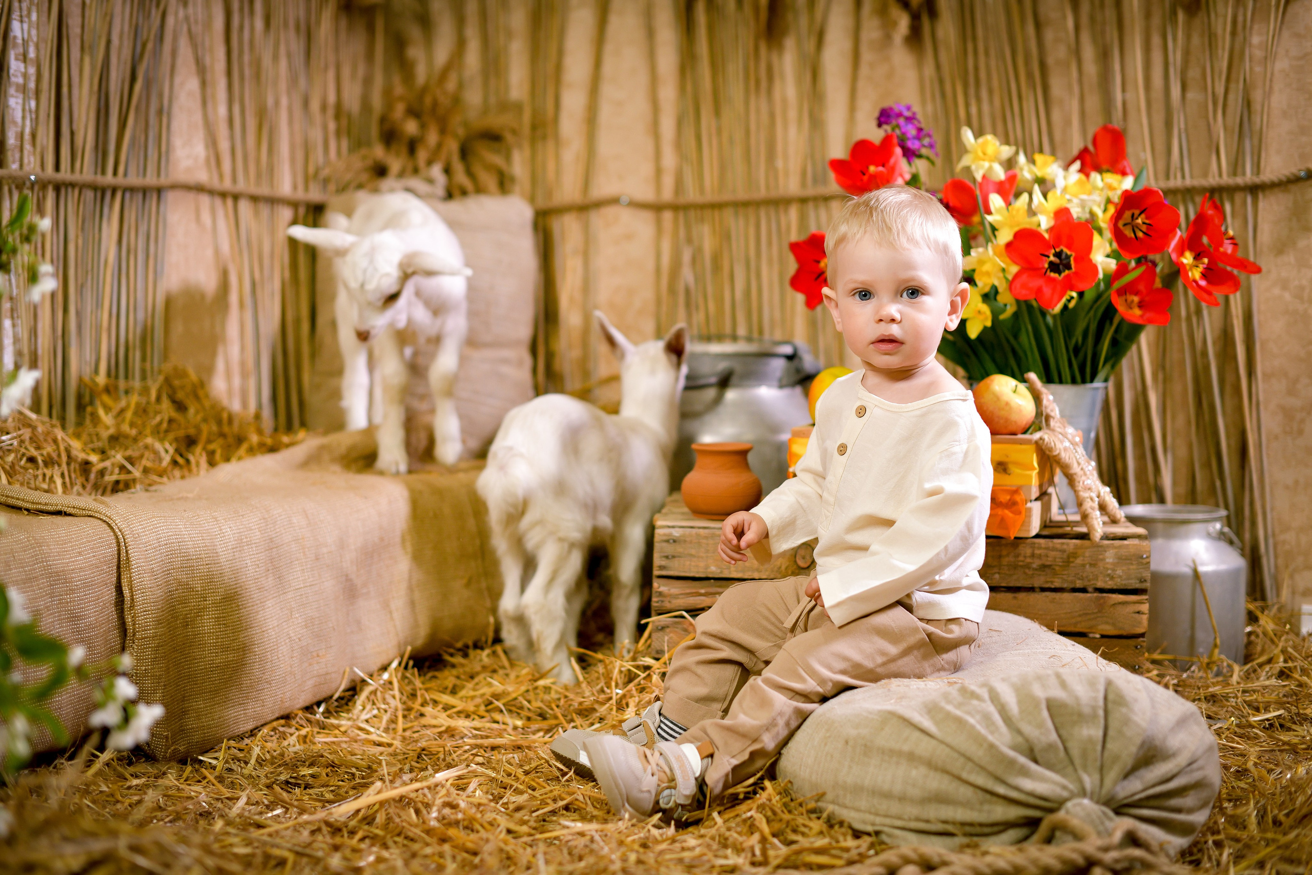 Тематические съемки. Фотостудия МАКС