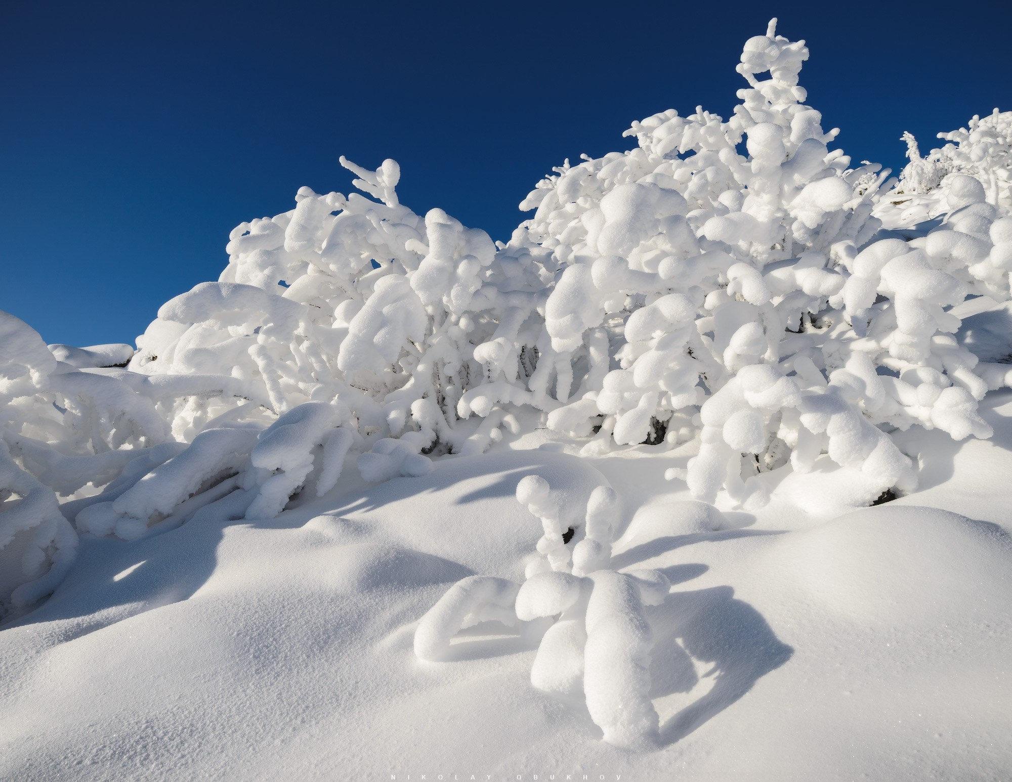 Зимний день в лесу на горе Белая: сугробы, мороз и безмятежная тишина.  