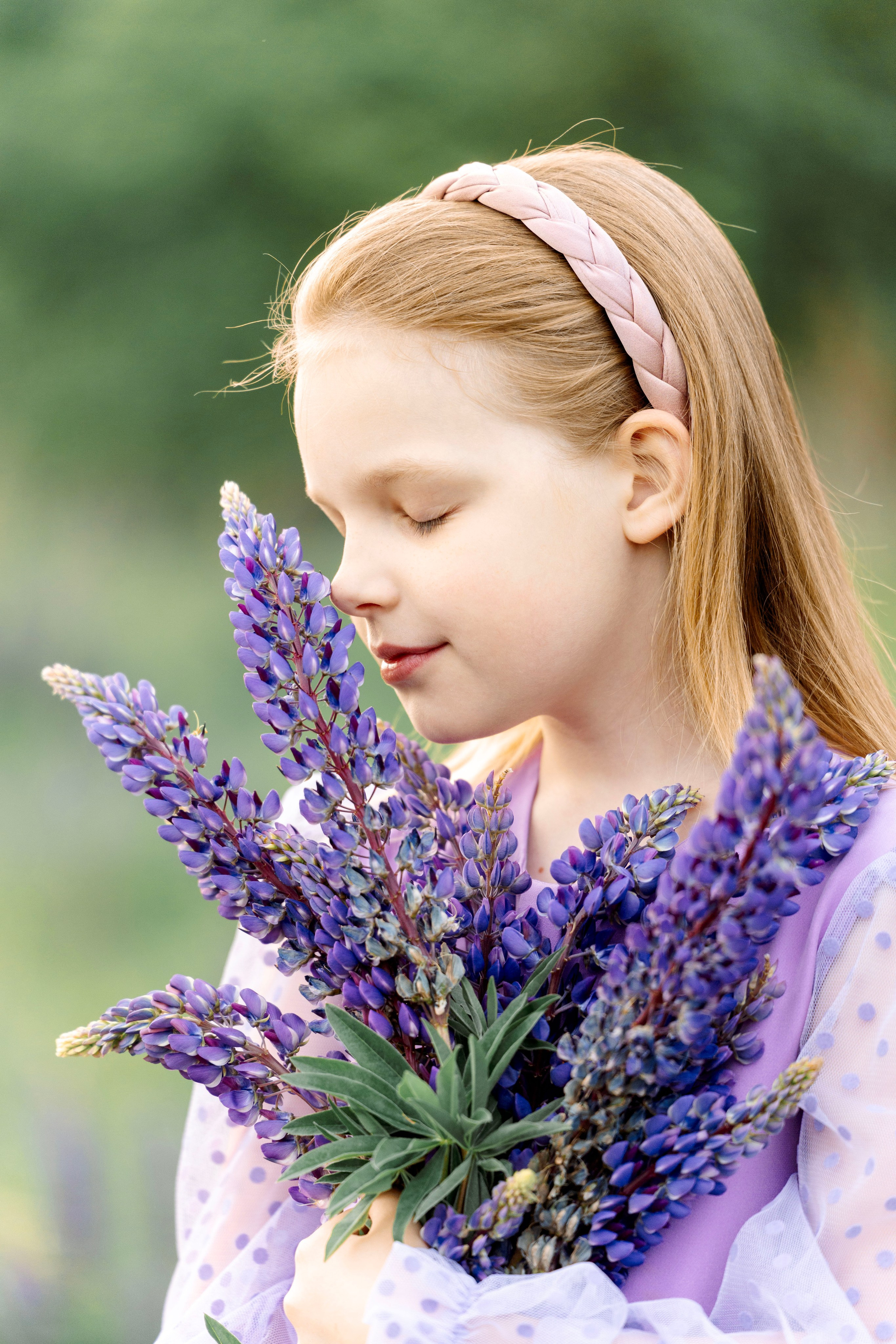 Люпины. Фотограф Юлия Попова