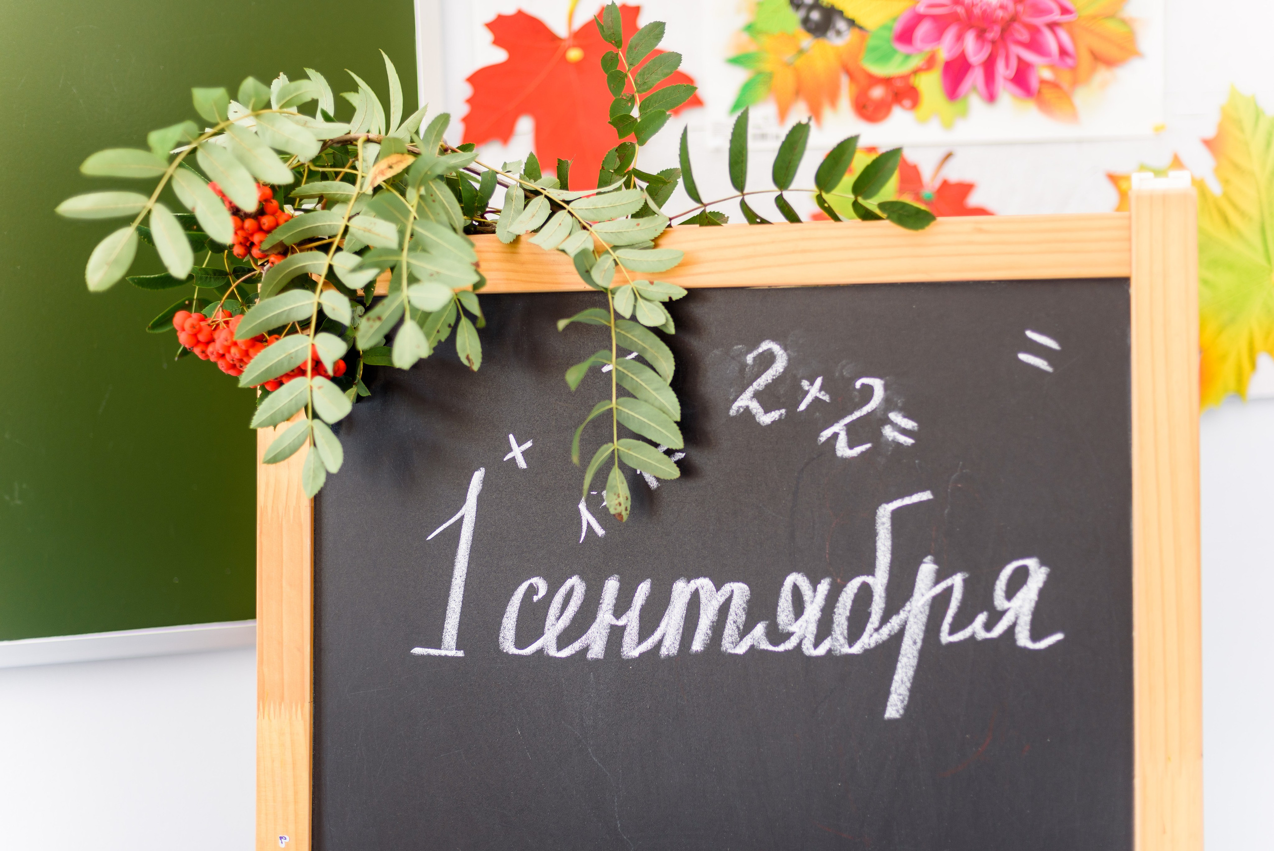 1-е сентября 2023. Фотограф Юлия Попова